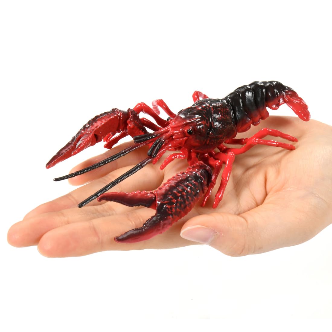 TAKARA TOMY Ania AL-31 American Crayfish Animal Dinosaur Toy Ages 3+