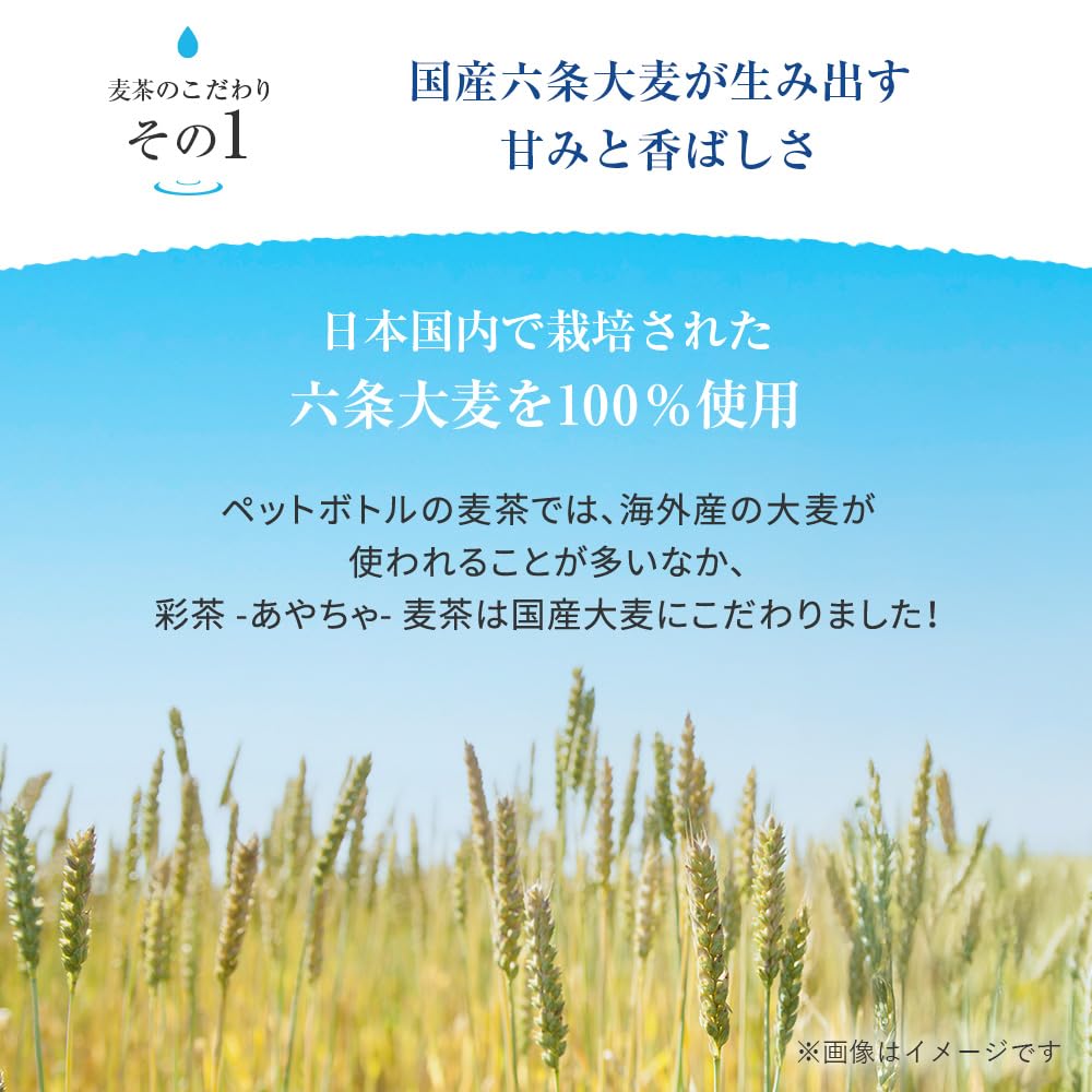 麦茶彩茶彩茶500ml 24瓶茶瓶装无咖啡因生活饮料公司（500ml，有标签）（麦茶（有标签））