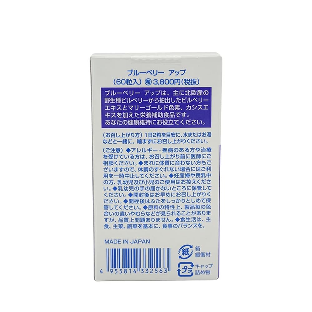 나리스 블루베리 업 27g(450ml×60립)