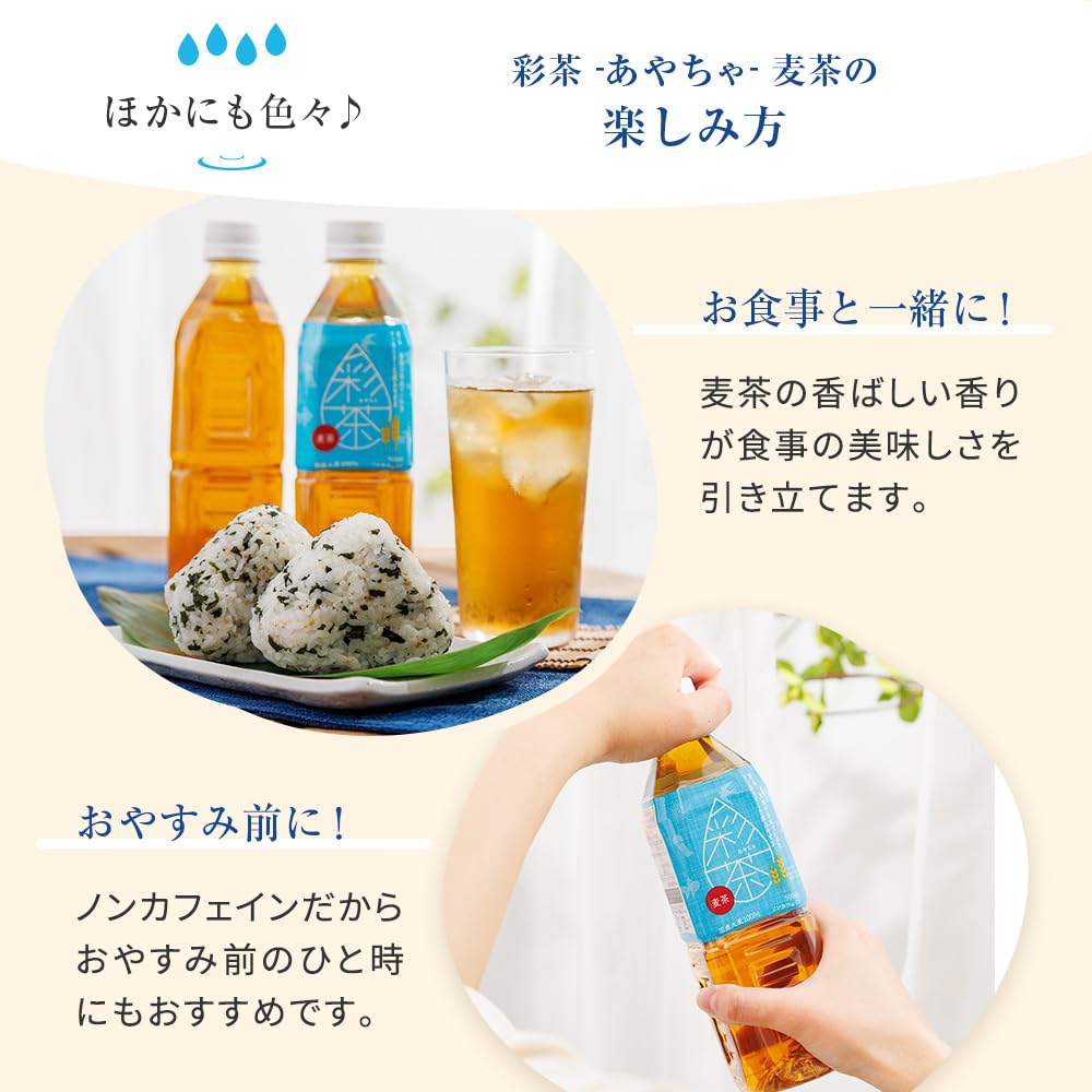 麦茶彩茶彩茶500ml 24瓶茶瓶装无咖啡因生活饮料公司（500ml，有标签）（麦茶（有标签））