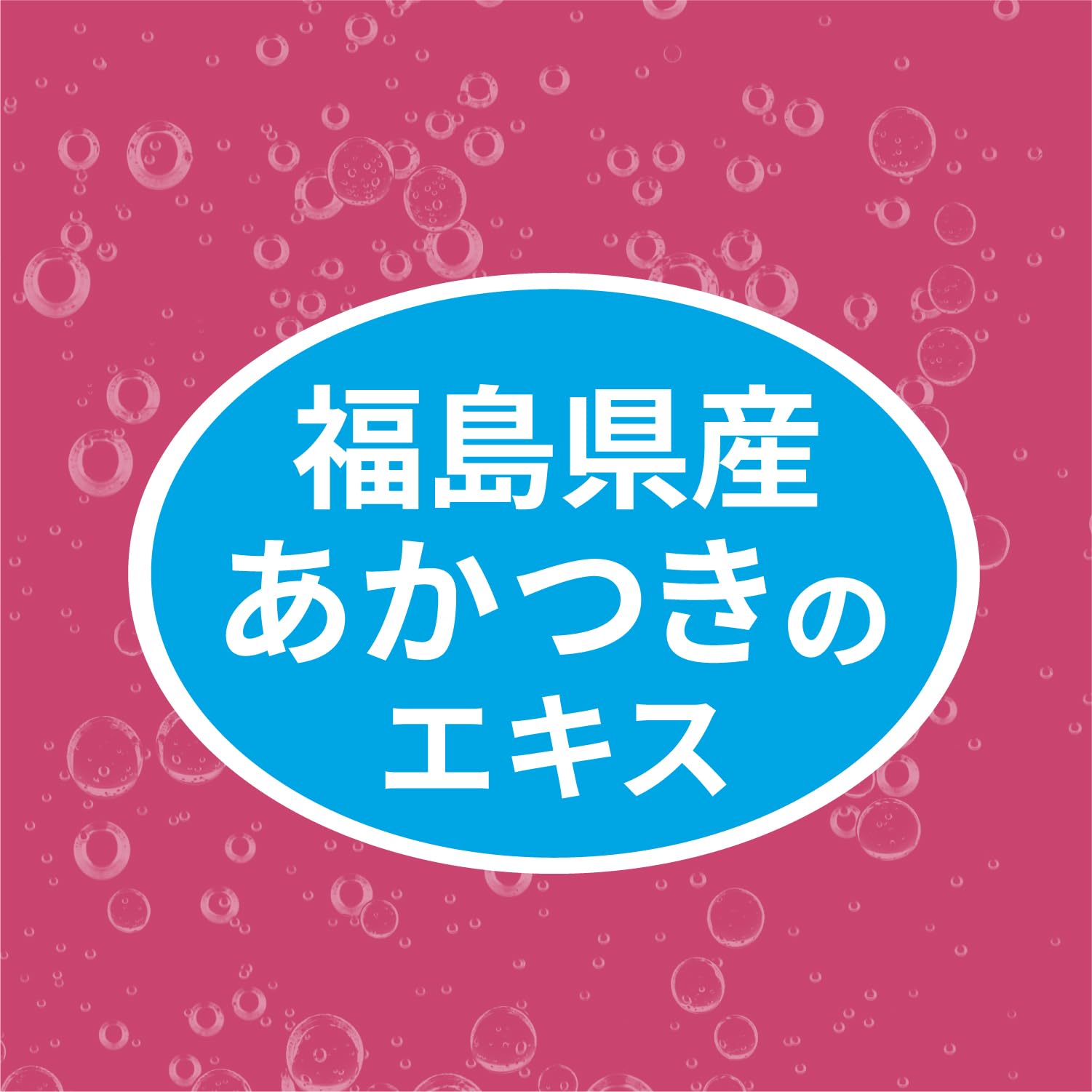 Wilkinson Asahi 饮料 Tansan 双桃 500ml x 24 瓶