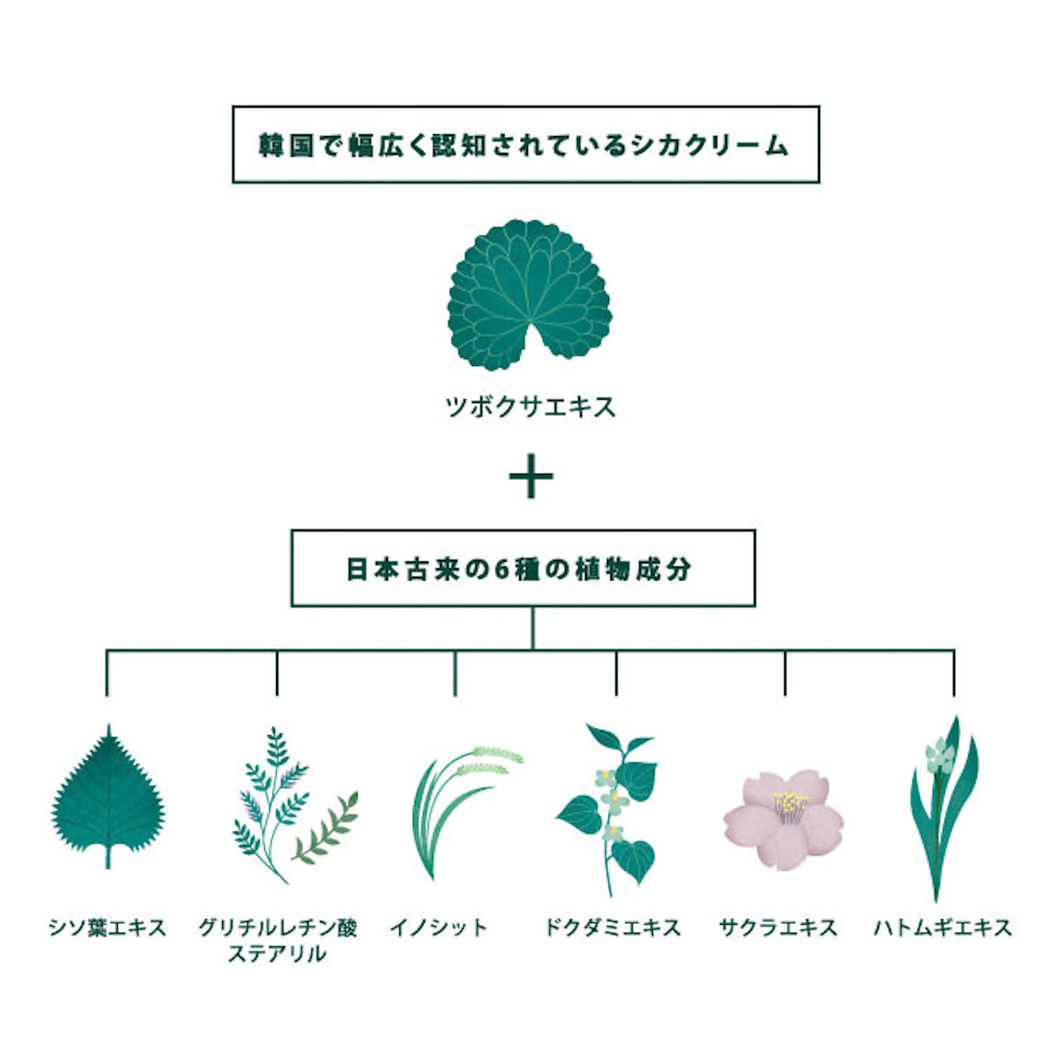 KEM Phương pháp Cogit CICA 100g