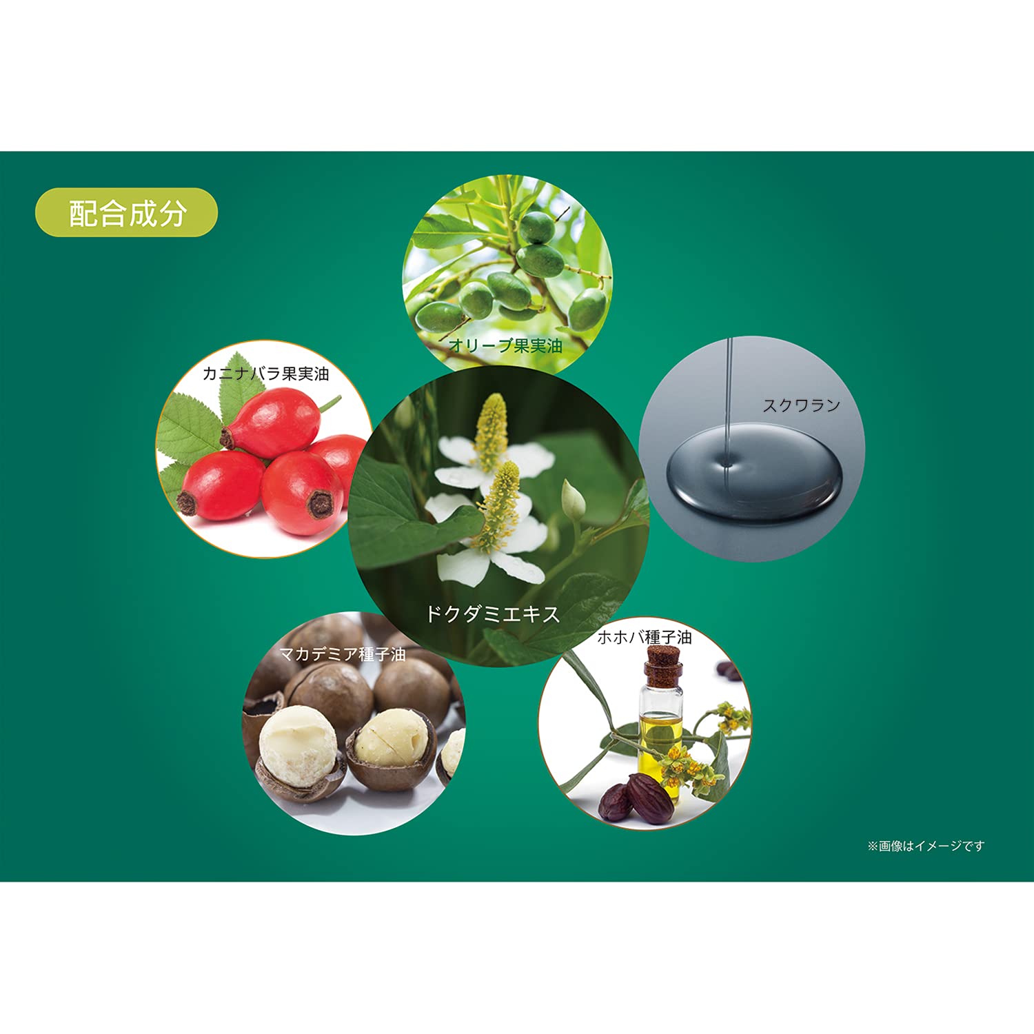 Ji no Shiosha DN Moisture Cream (Dokudami Cream) 185g