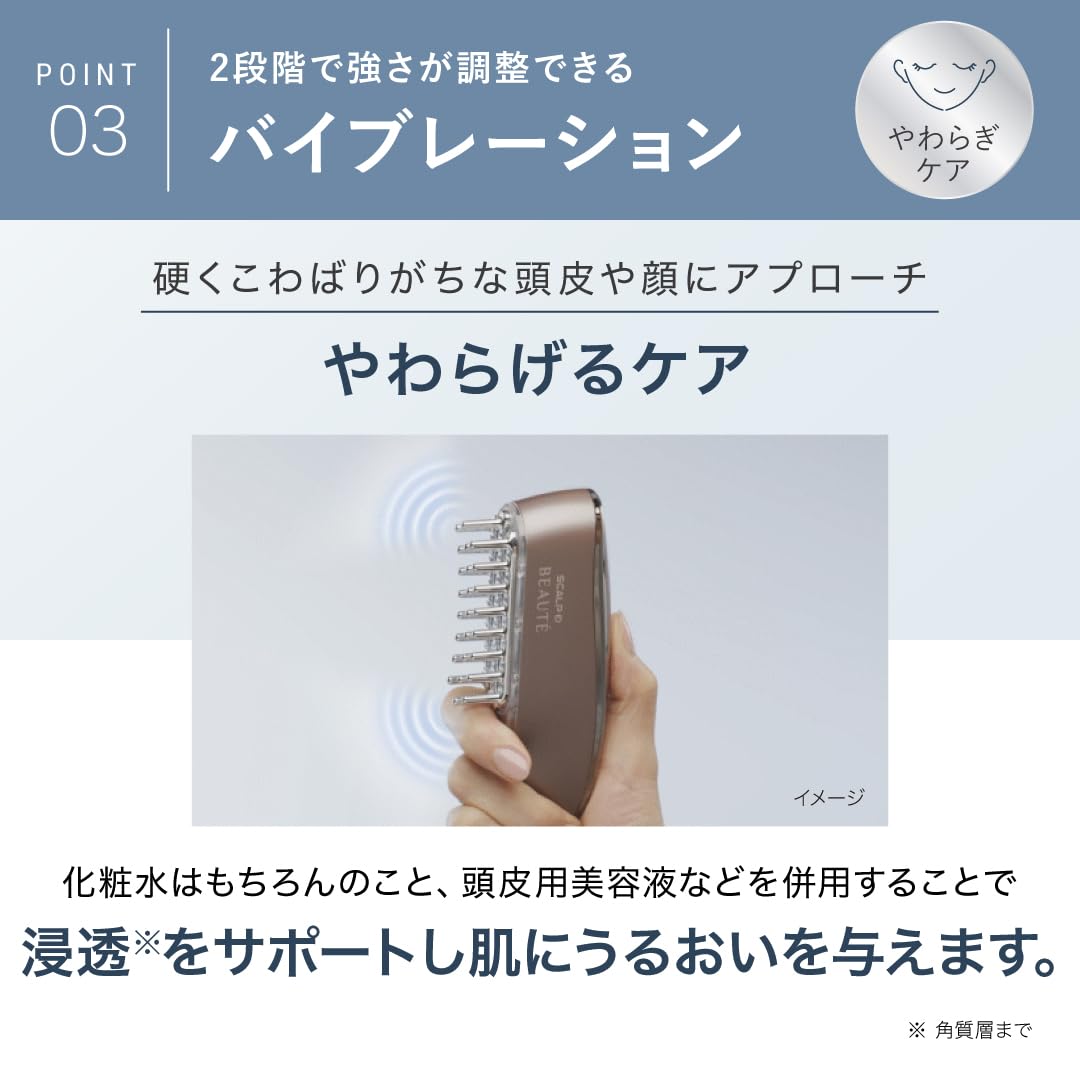 두개골 D 보테 두개골 전기 브러쉬 의사 감수