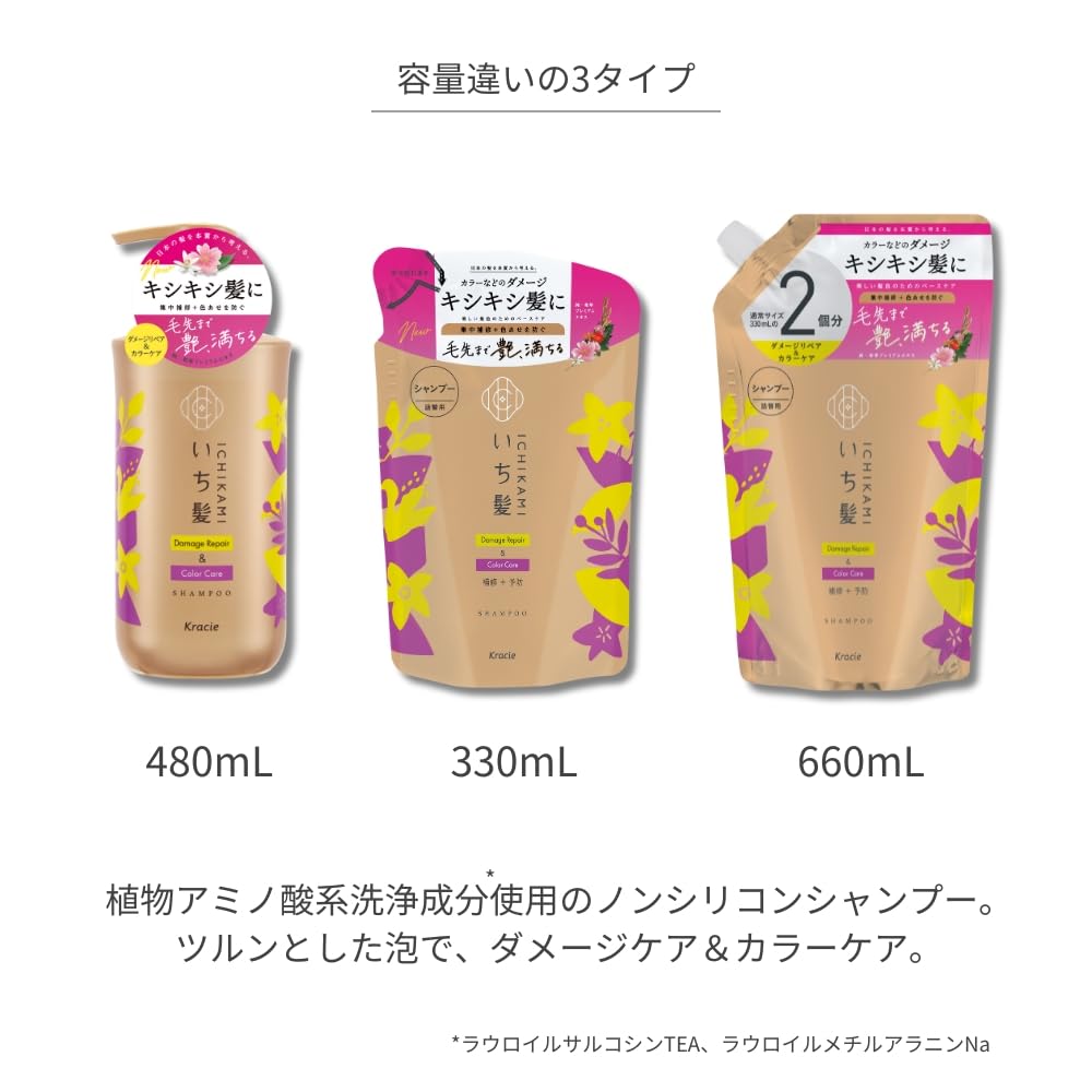 이발 [데미지 리페어 & 컬러 케어] 샴푸 펌프 480ml | 비 실리콘 아미노산 샴푸 헤어 케어 데미지 케어 탈색 방지 남성 여성