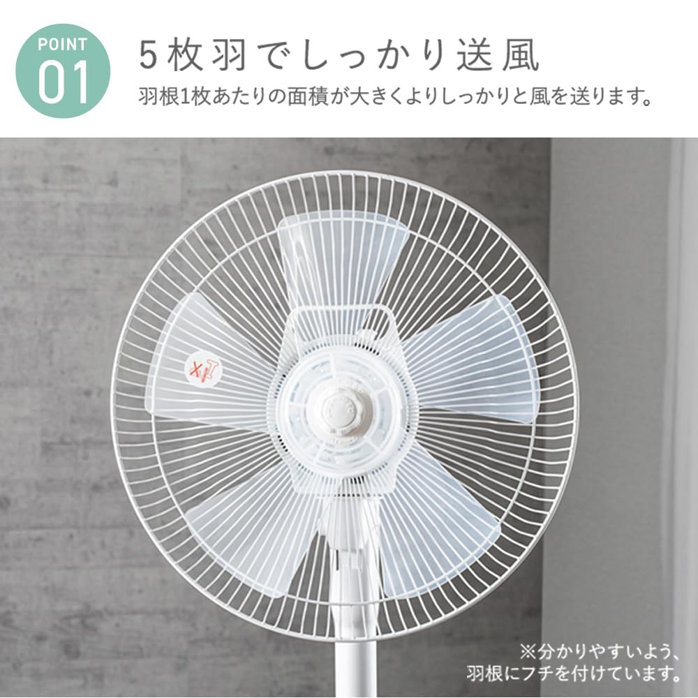 [Power Saving Measures] Iris Ohyama Oscillating Fan, 3 Levels of Air Volume, Timer Function, Ventilation, Living Room Fan, White PF-301RA-W