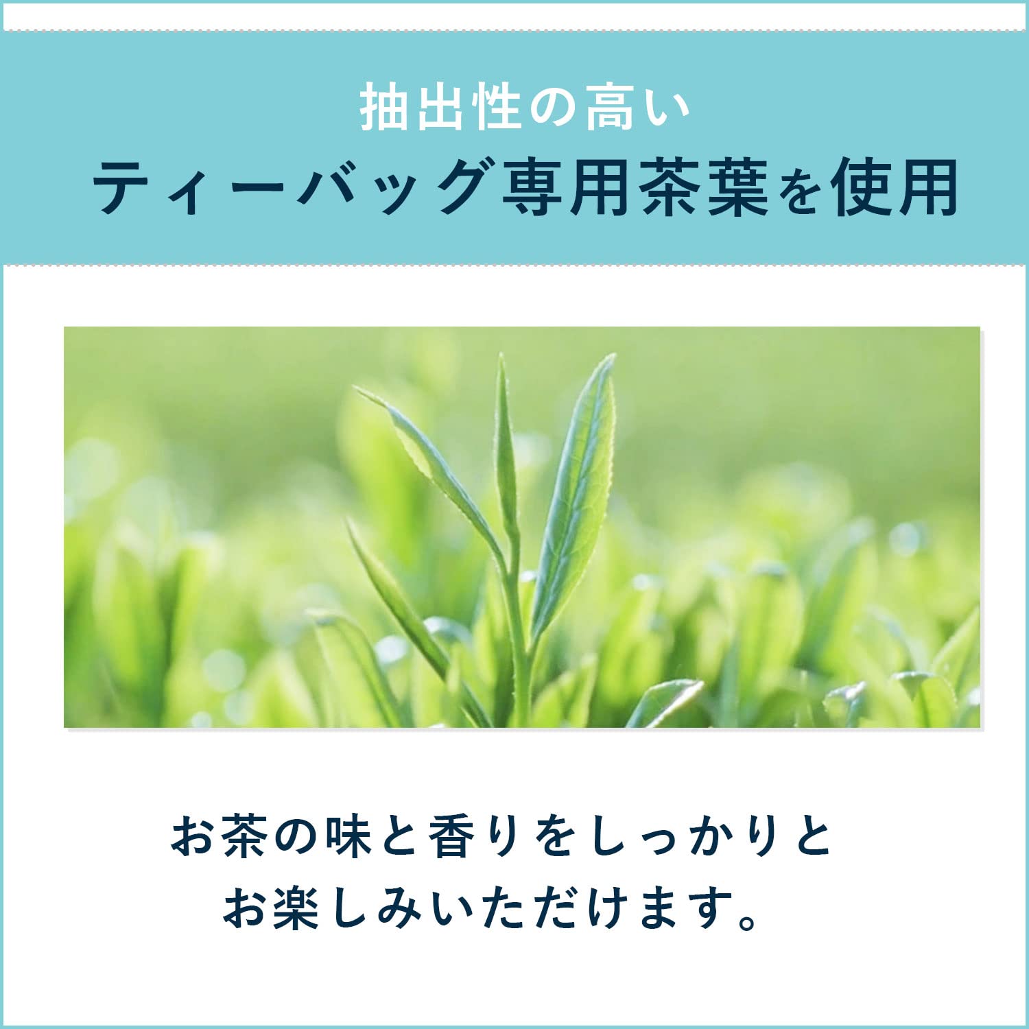 Túi trà sinh thái Itoen Oi Ocha Hojicha 1,8g x 50 túi