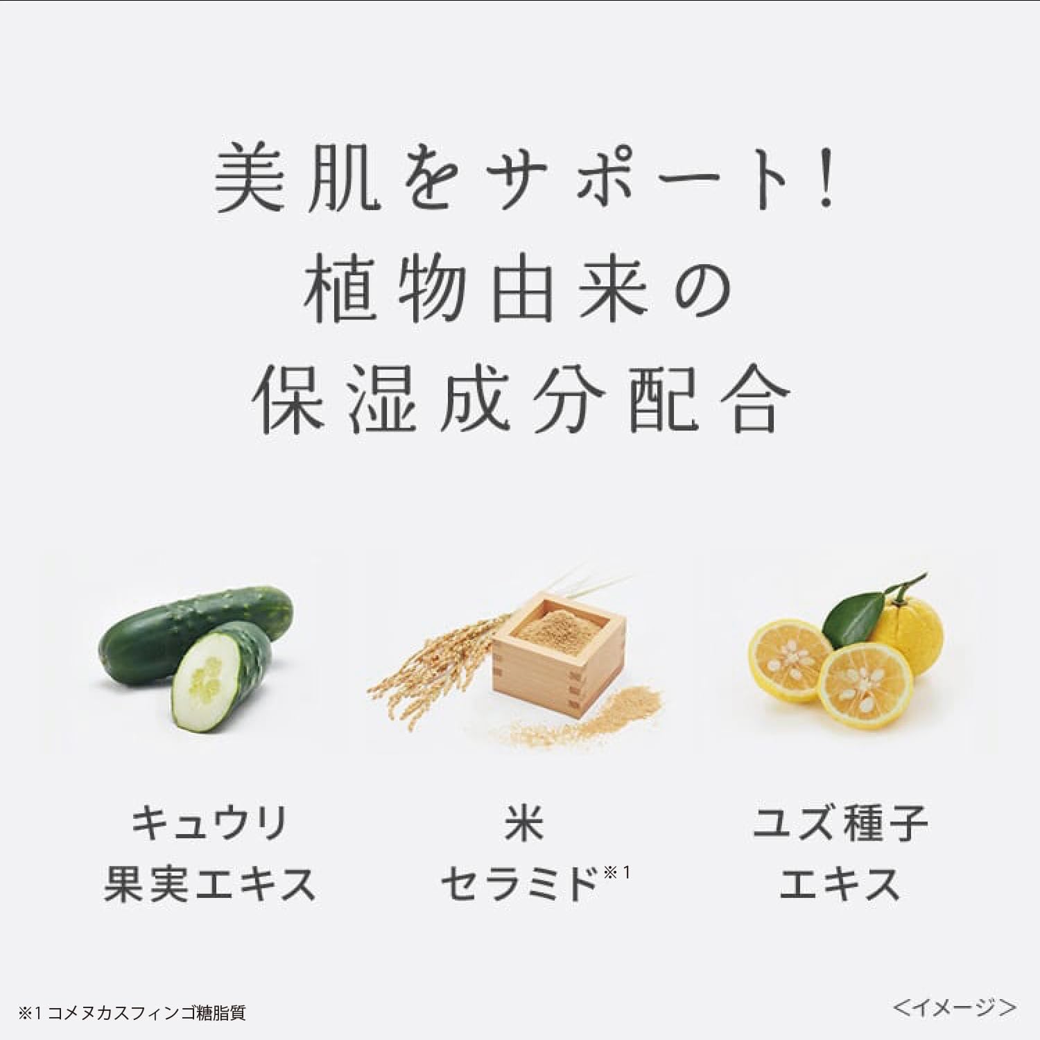 와후드 메이드 Wafood Made 술 팩 SK 팩 씻어 팩 170g 술 술 술 엑기스 추출물 효모 쌀 발효액 쿠스미 투명감 고보습 건조 간단 미용 목욕 스킨케어 화장품 일본