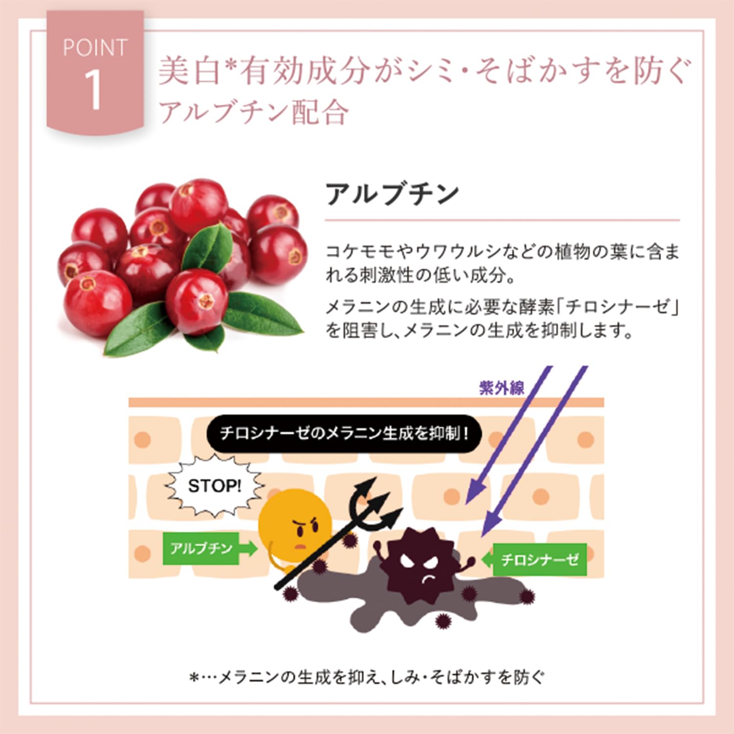 야만 미안기 병용 겔 플로레스 세럼 화이트【의약부외품】80g CS19003A