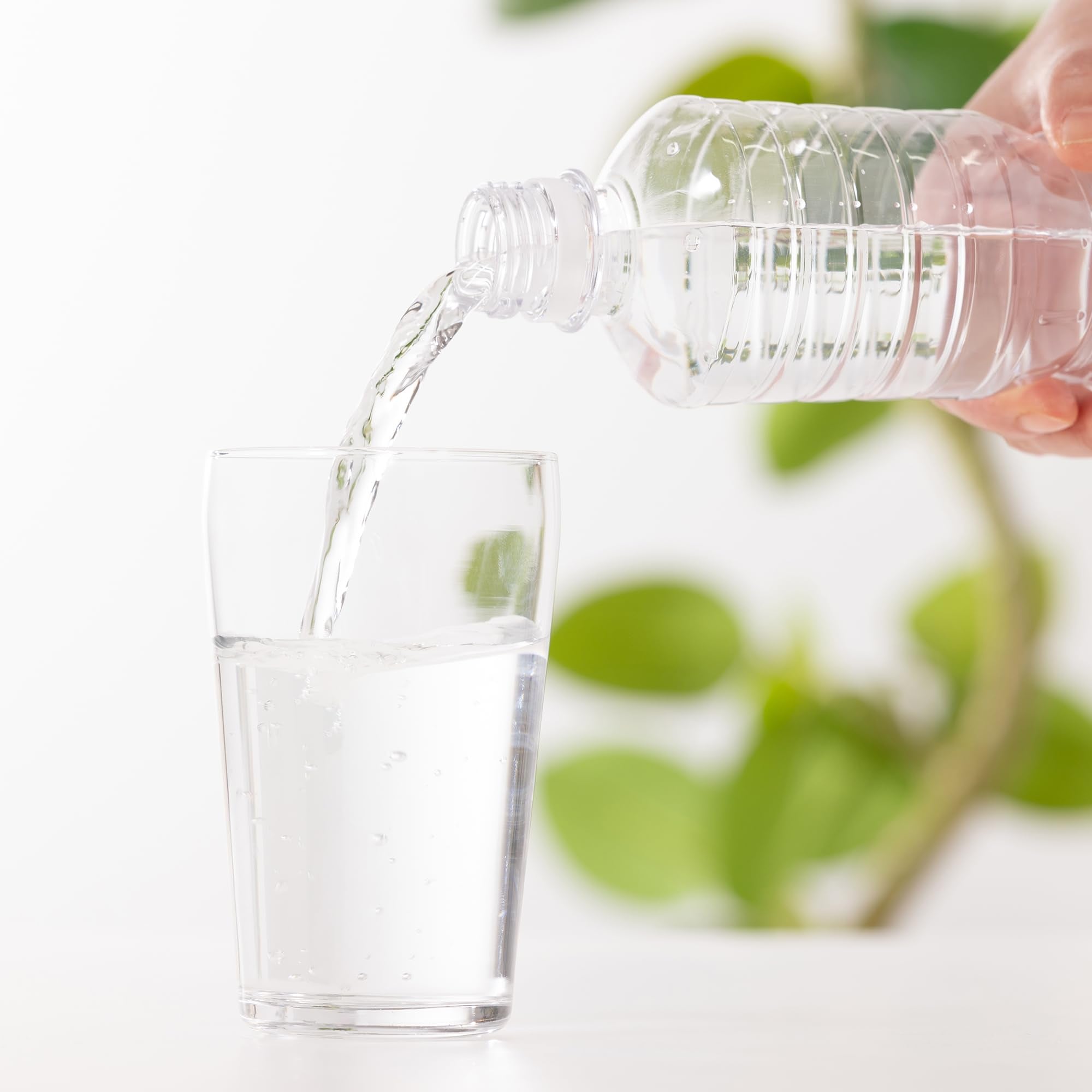 후지산 기슭 천연수 라벨리스 500ml×24개