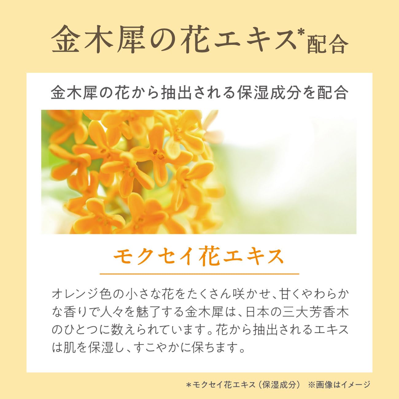 느슨하게 가나기 犀香る 바디 & 헤어 오일 충분히 50mL (몸 머리 멀티 미용 오일 헤어 케어 바디 케어) 혼자 생활 신생활