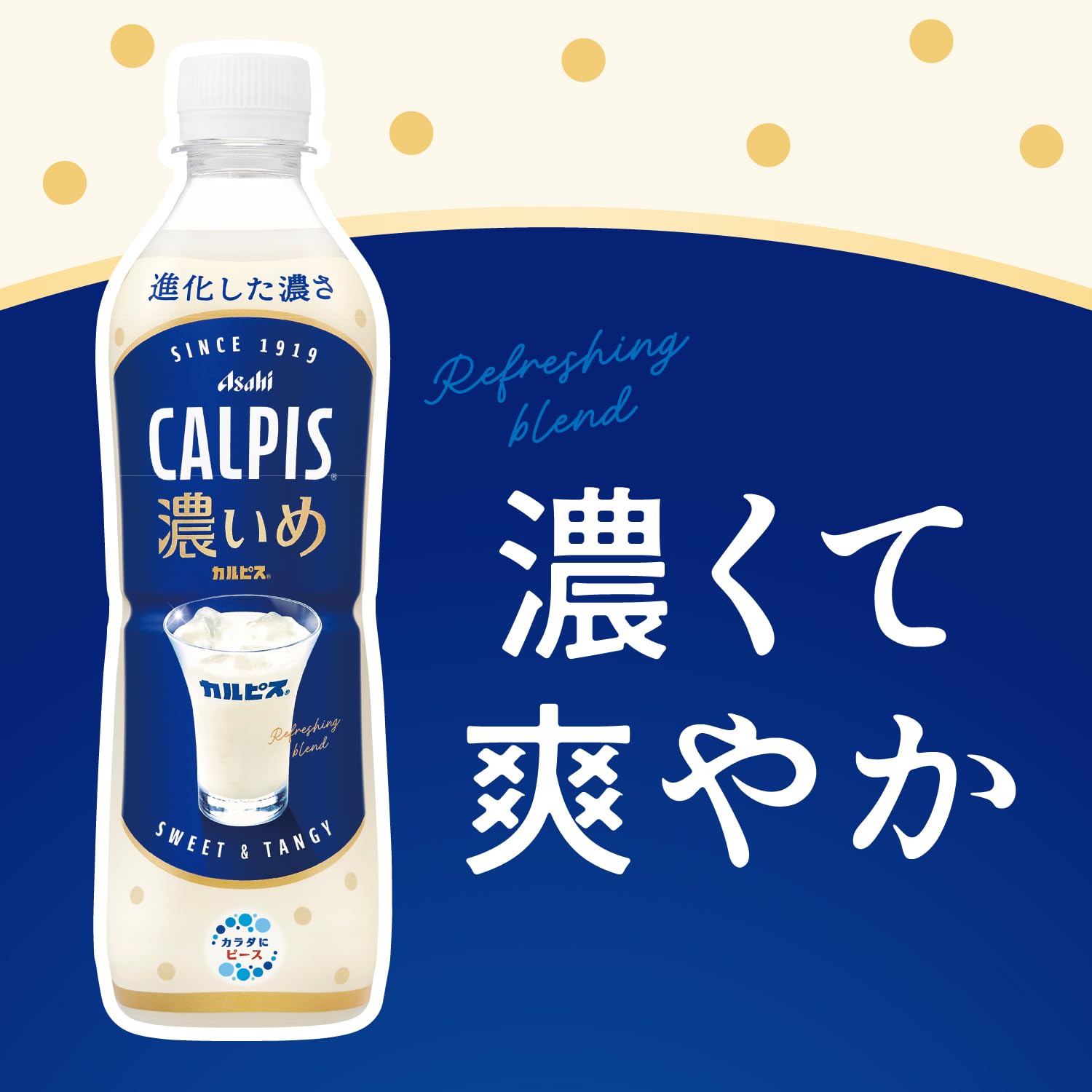 Calpis CALPIS Dark 490ml x 24 bottles [Calpis] [Lactic Acid Bacteria] [Asahi Beverages]