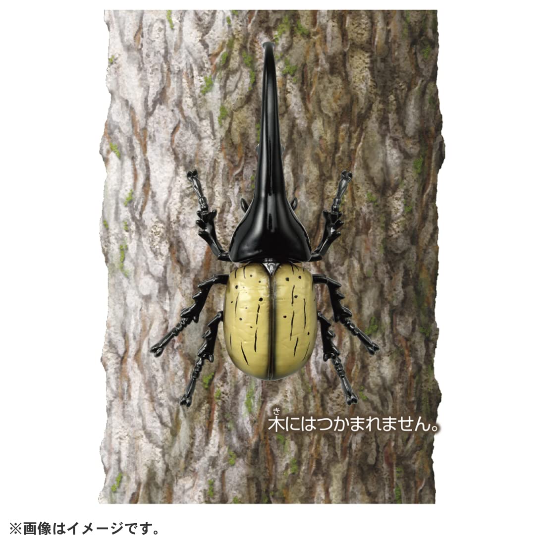 타카라 토미 (TAKARA TOMY) 아니아 AS-38 헤라클레스 오오카부토 곤충 장난감 3세 이상