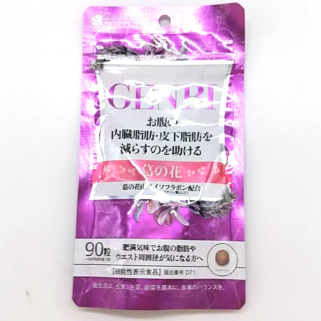 Beaute Santella Laboratories GENBI 90 片
