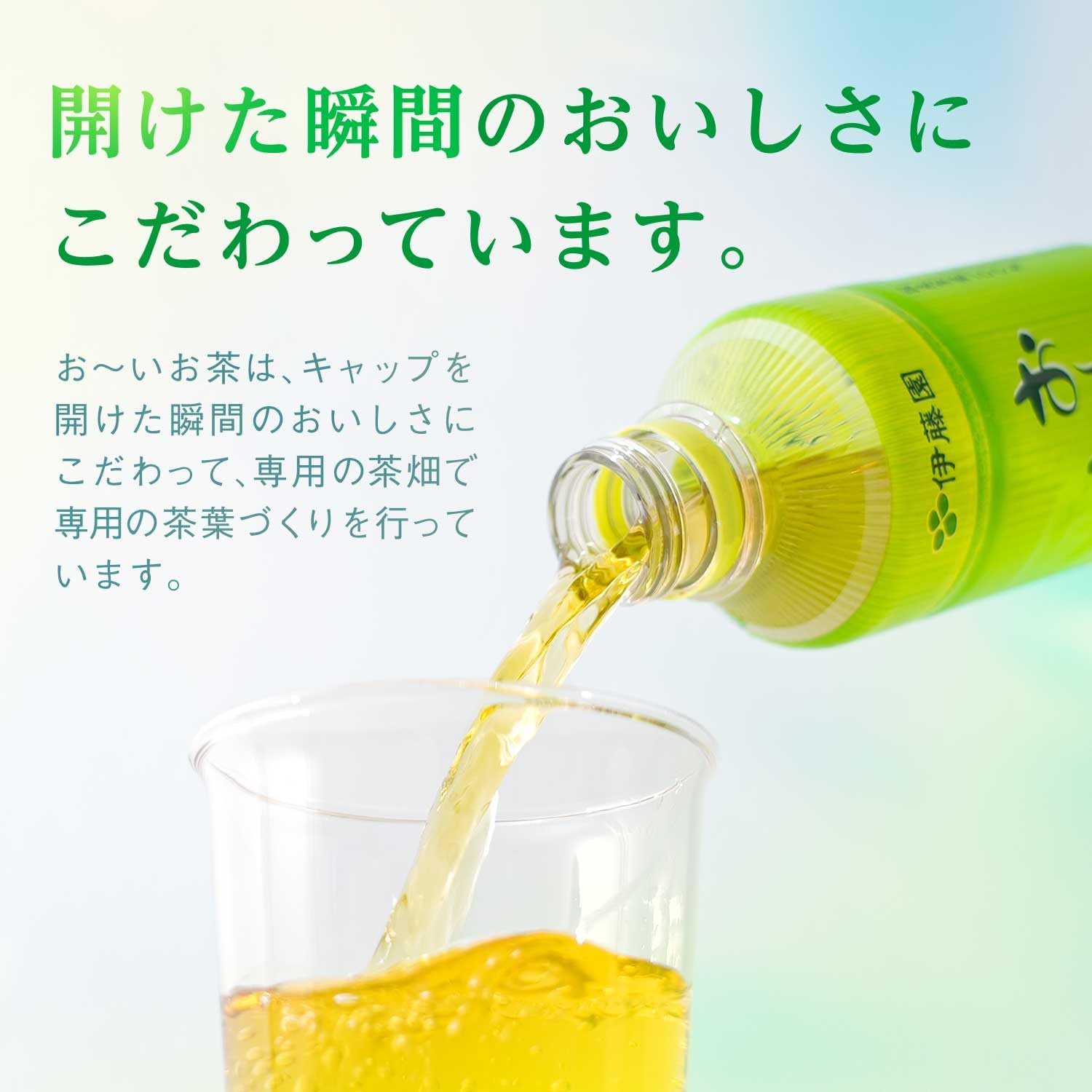 이토엔 라벨리스 오이 차 녹차 PET 600ml×24개