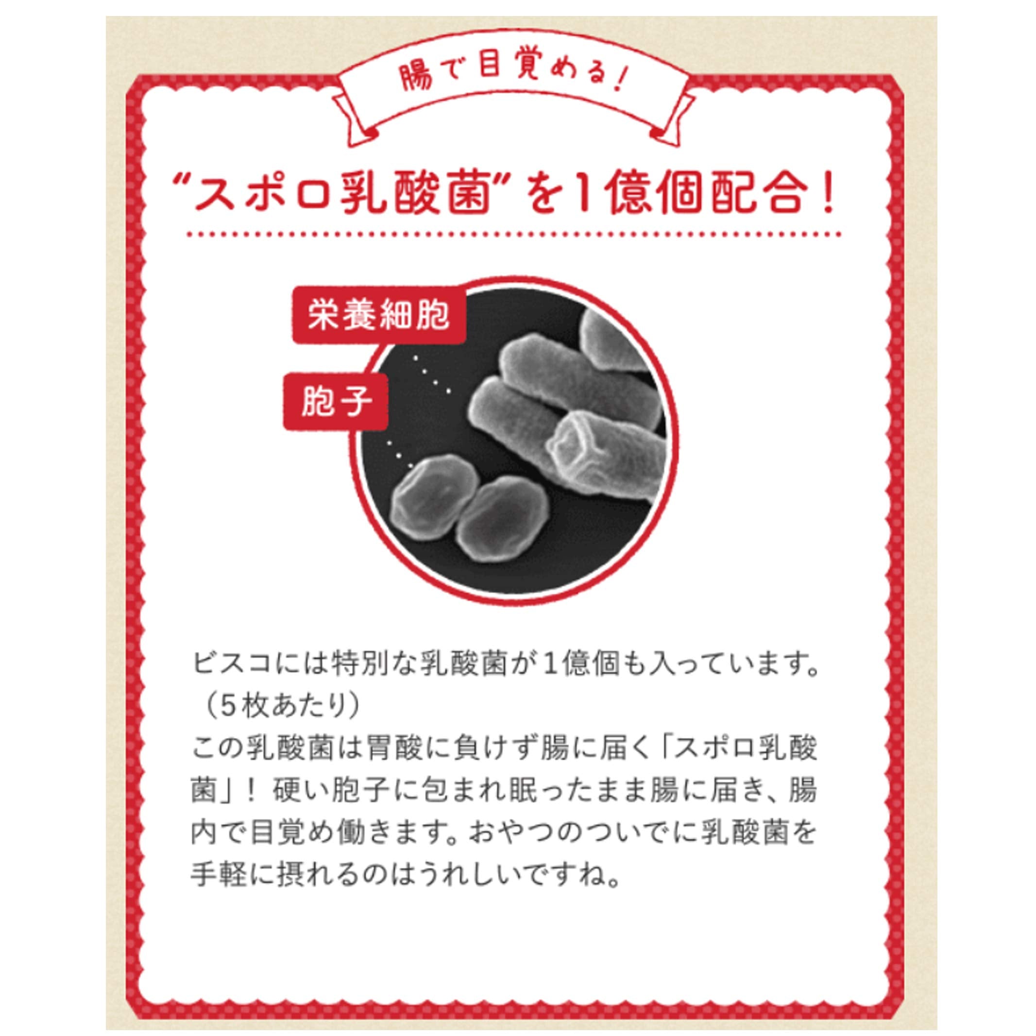 江崎格力高饼干15片×10盒饼干乳酸菌
