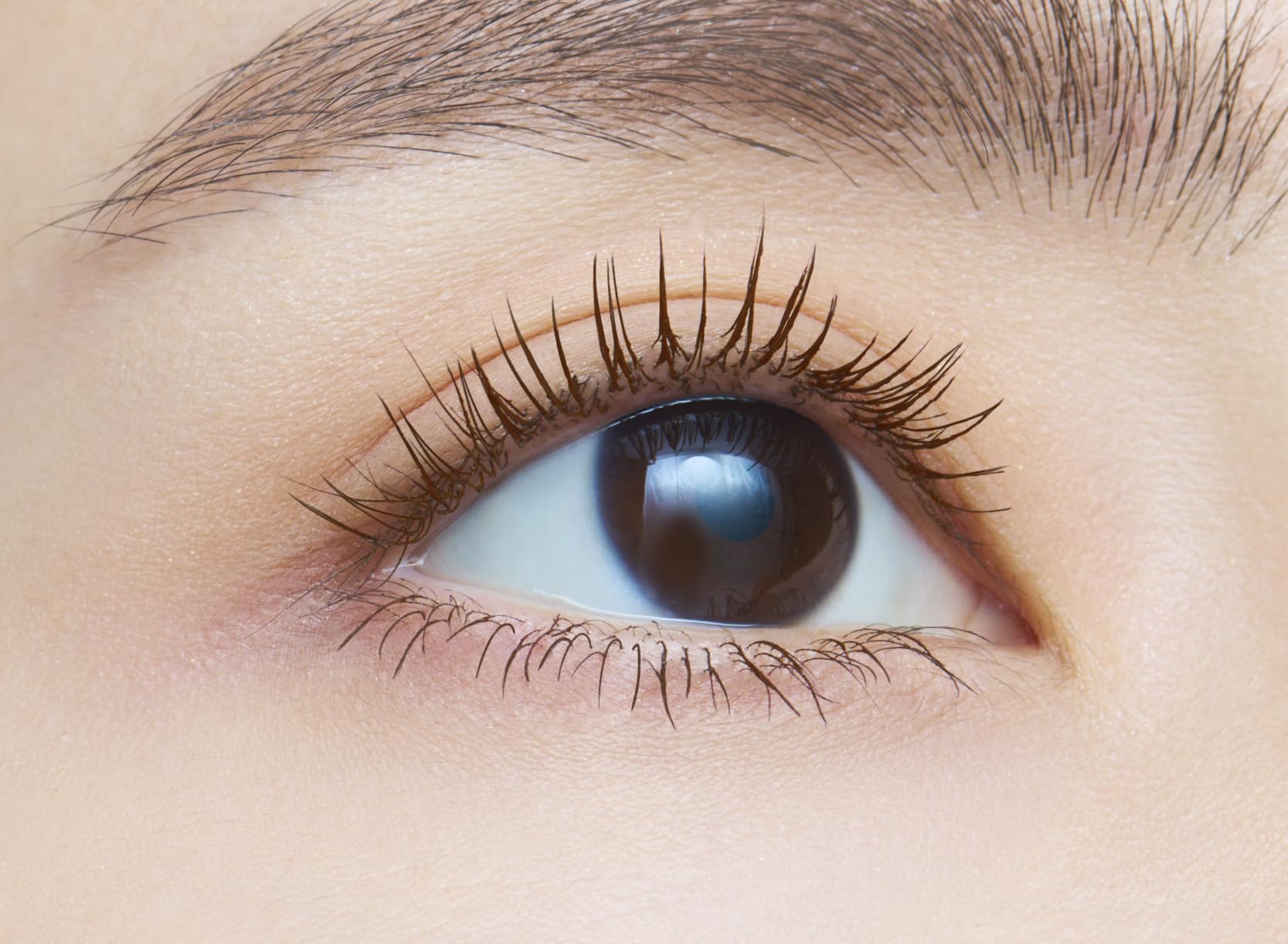 dejavu Dejavu Paintable False Eyelashes Volume Type Lash Knockout Extra Volume 2 Mocha Brown Mascara Film Type