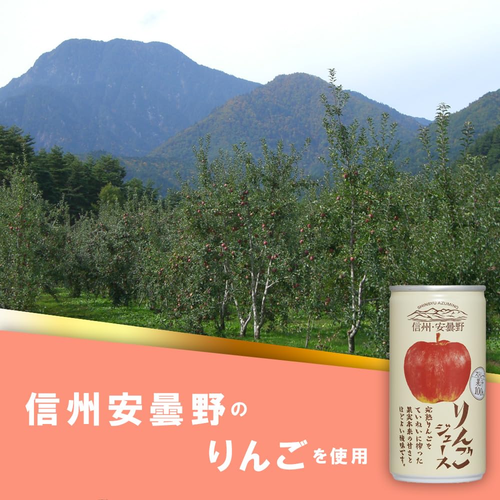 Gold Pack Straight Shinshu/Azumino Apple Juice 190g x 30 bottles