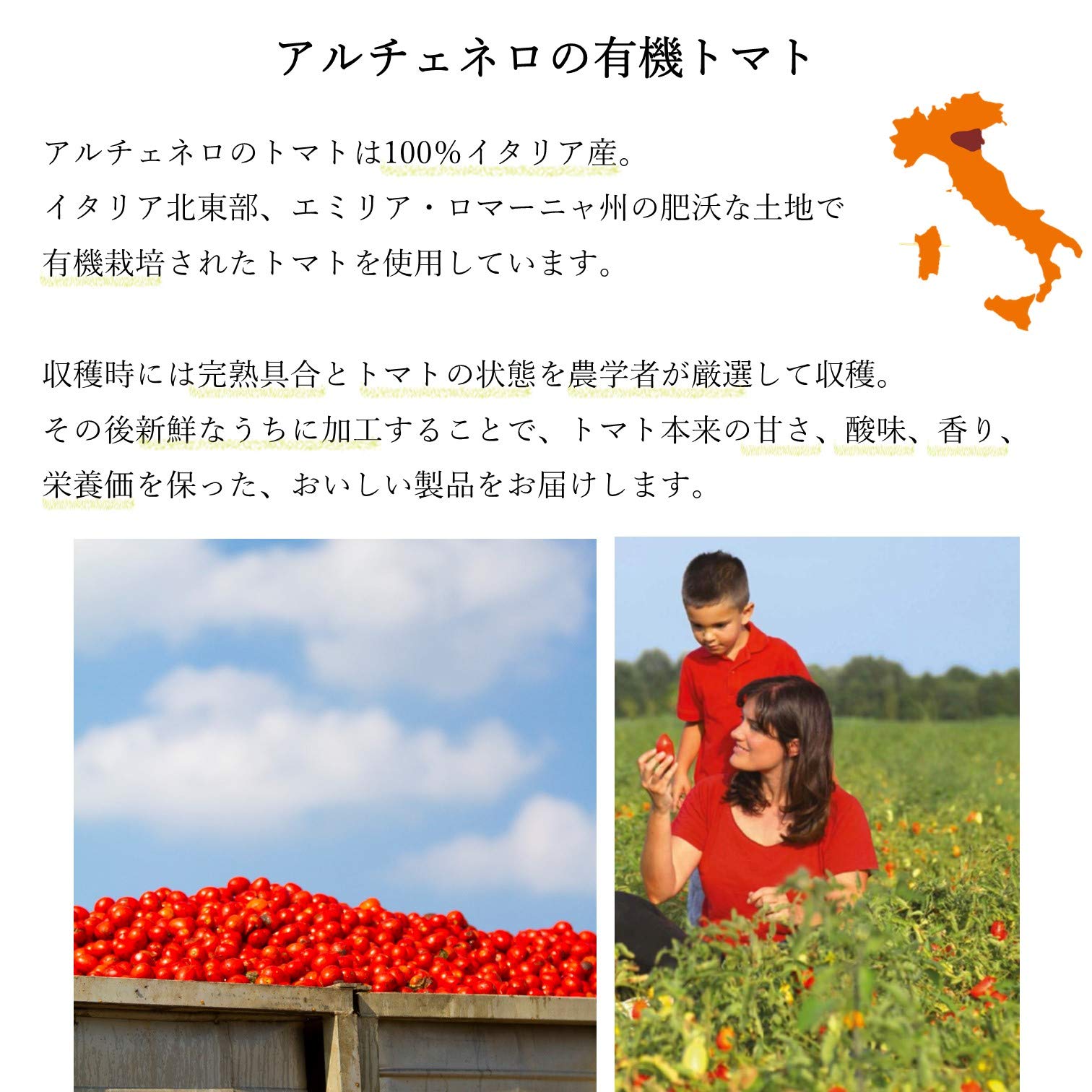 ALCE NERO Organic Pasta Sauce Arabiata (with chili pepper) 350g (Organic Made in Italy) 1 piece