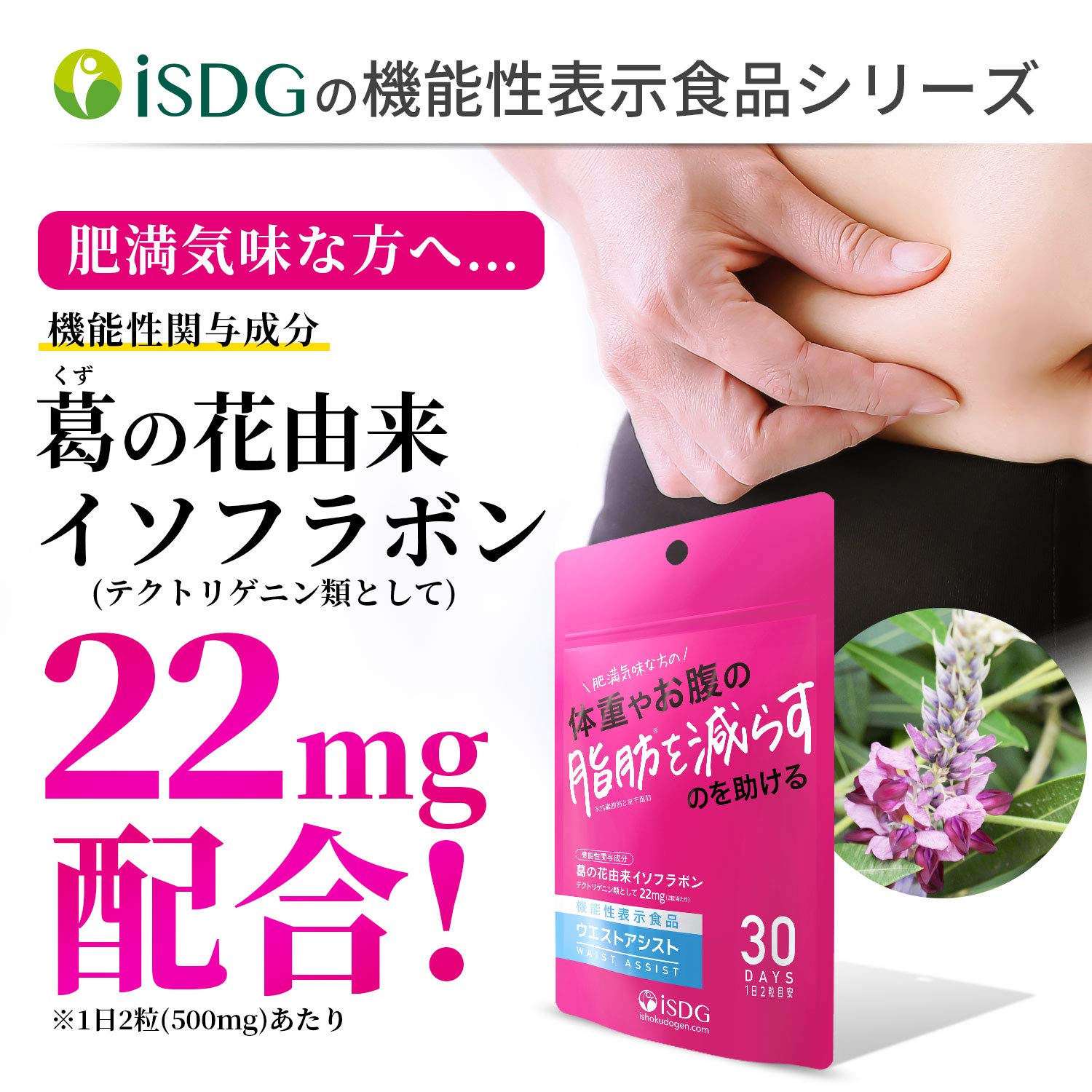 ISDG Ishokudogen.com West Assist 250mg x 60 tablets [Food with functional claims]