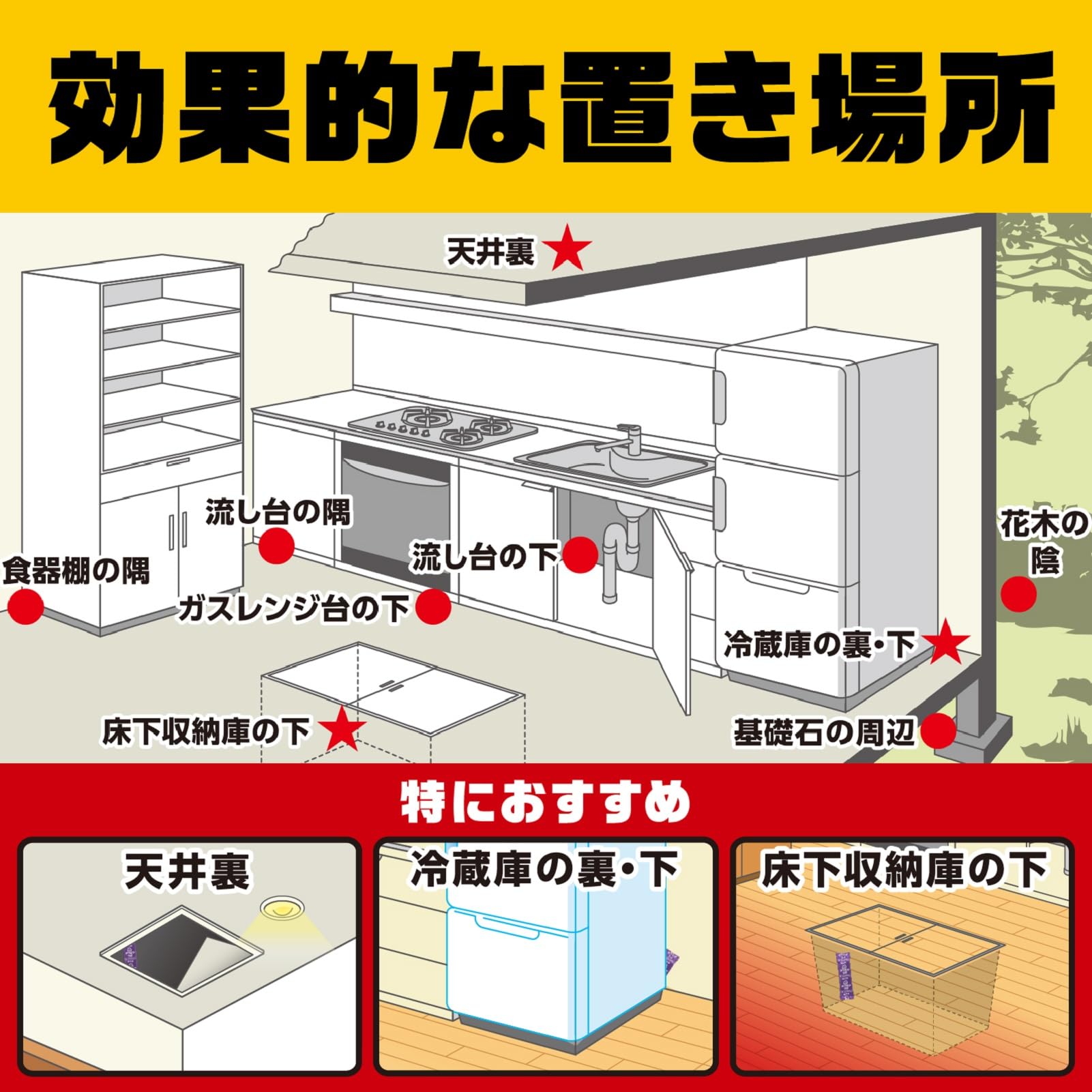 데스모어 프로 분포 타입 쥐 구제제 5 gX12 포입 쥐 쥐 구제 대책 함정