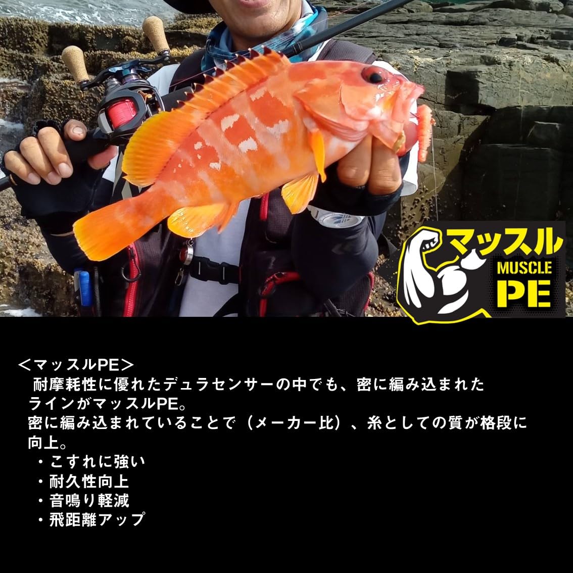 DAIWA PE Line UVF PE Durasensor X4+Si2 No. 3 200m 多色