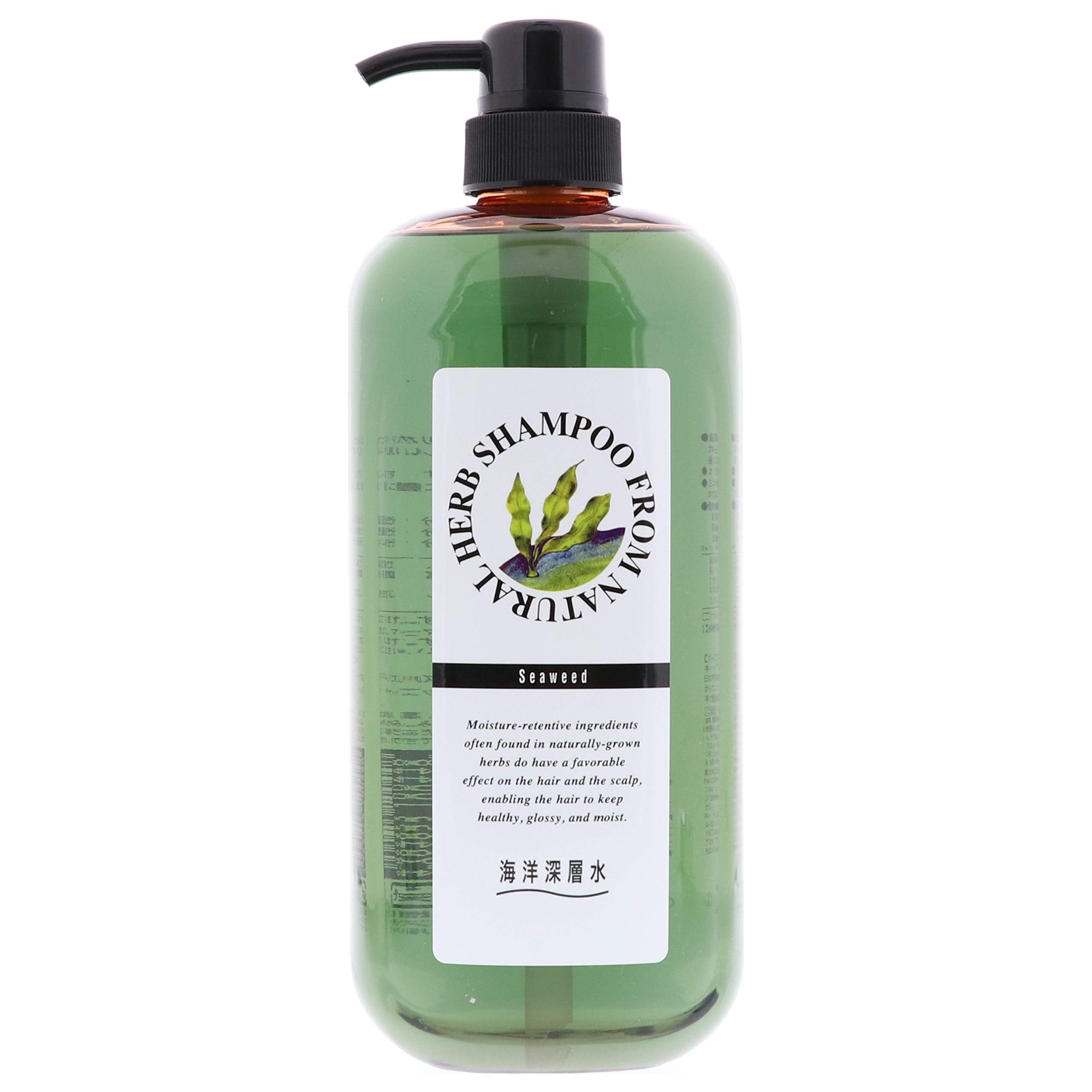 준 코스메틱 내츄러프 허브 샴푸 SW 1000ml