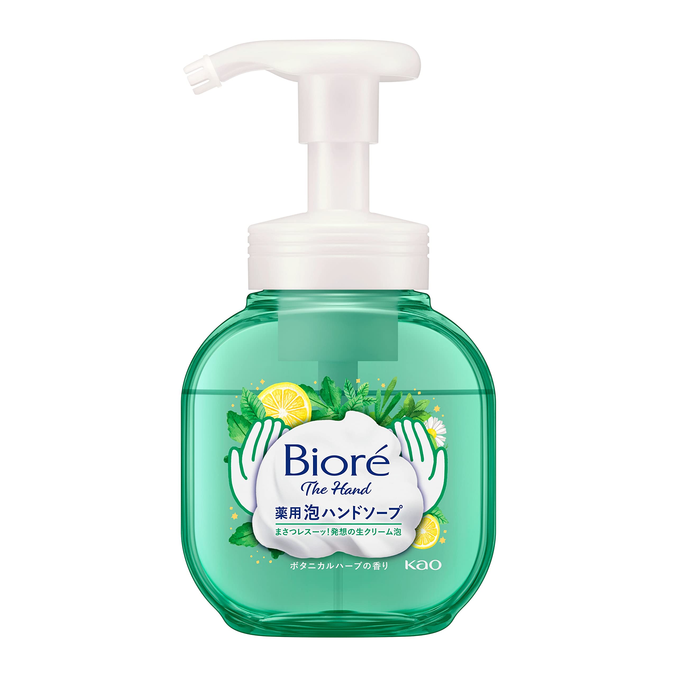 Biore The Hand Foam Hand Soap Botanical Herb Scent Pump Body 250ml
