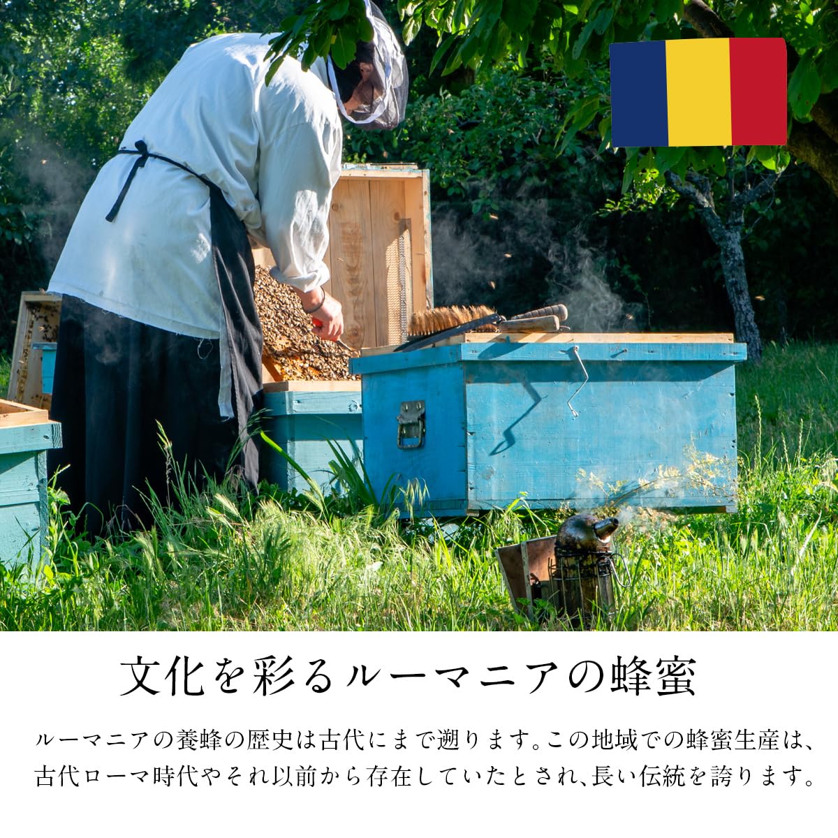 BeeWorks 유럽산 순수 꿀 꿀 500g 0.5kg 100% 순수 꿀 허니 루마니아산 우크라이나산