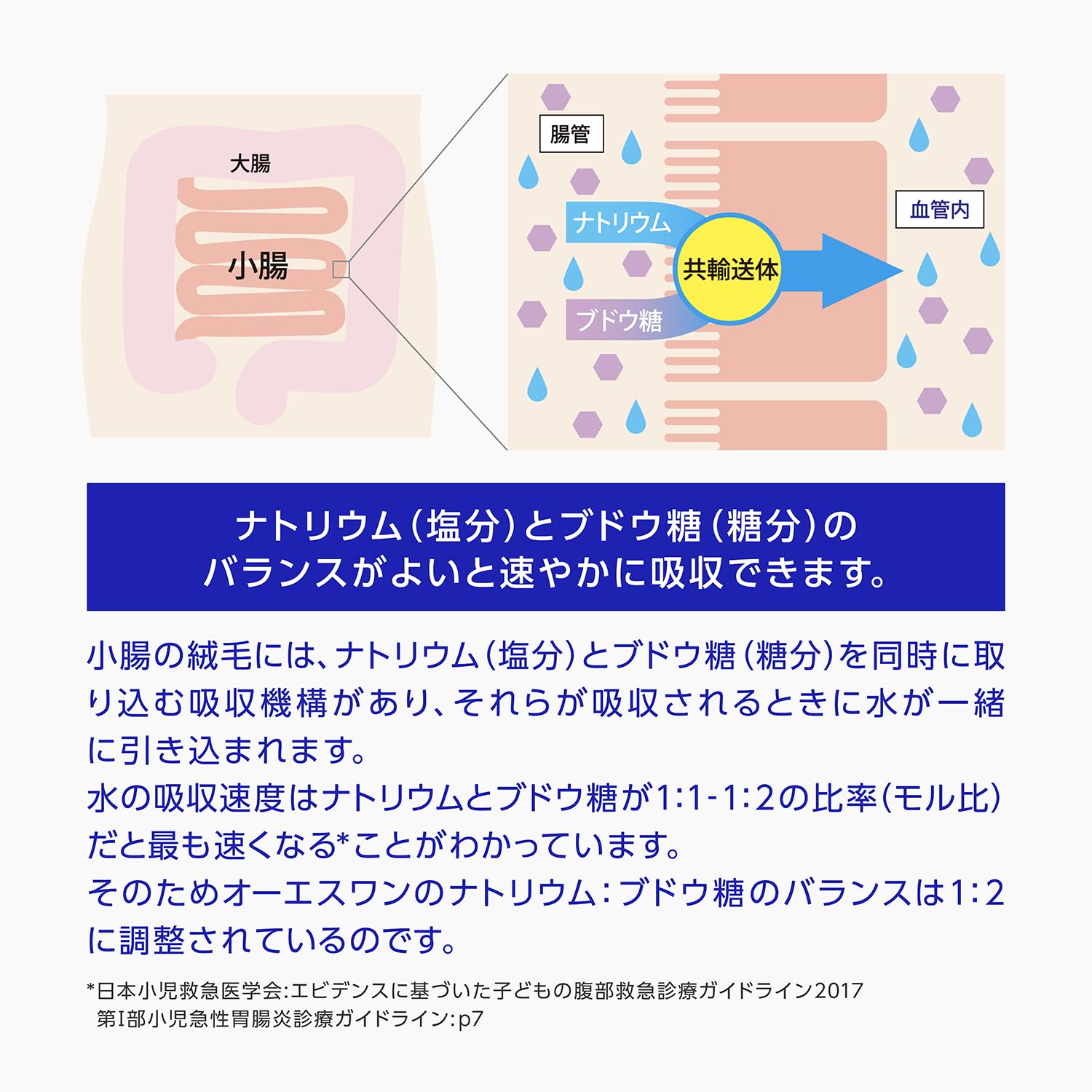 Otsuka Pharmaceutical Factory Oral Rehydration Solution OS-1 Apple Flavor PET Bottle 300mL x 24 bottles
