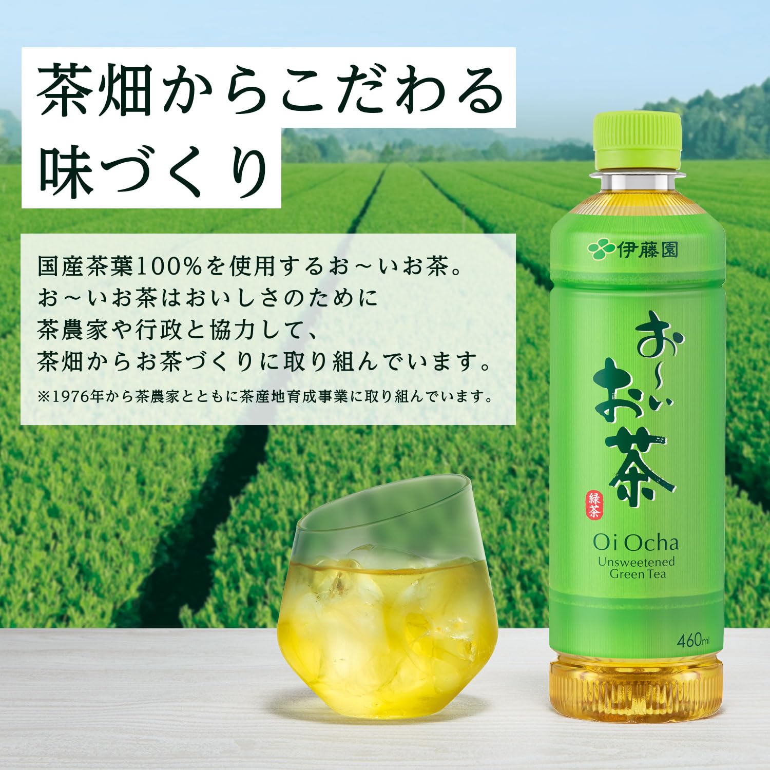 Itoen Labelless Oi Ocha Green Tea 460ml x 30 Smart Bottle