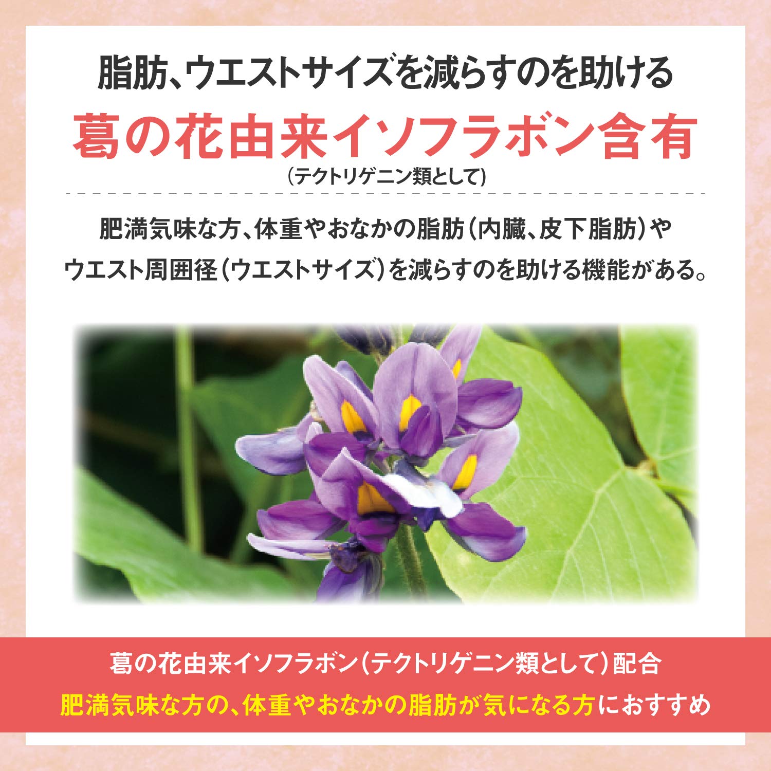 【기능성 표시 식품】다이쇼 제약 리비타(Livita) 팻케어 타블렛(알타입 타입) 42 알갱이(14일분)