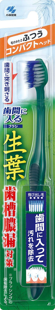 [Bulk purchase] Fresh leaf (shoyo) brush that fits between teeth Toothbrush Compact Regular [x6 pieces]