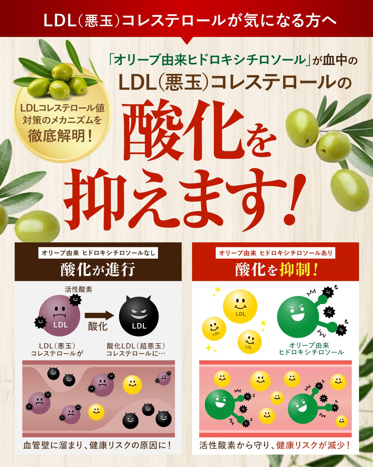 【의사 감수】 LDL 콜레스테롤 케어 LDL 나쁜 콜레스테롤 케어 혈중의 LDL 콜레스테롤의 산화를 억제 올리브 유래 하이드록시티로솔 5.25mg 1봉