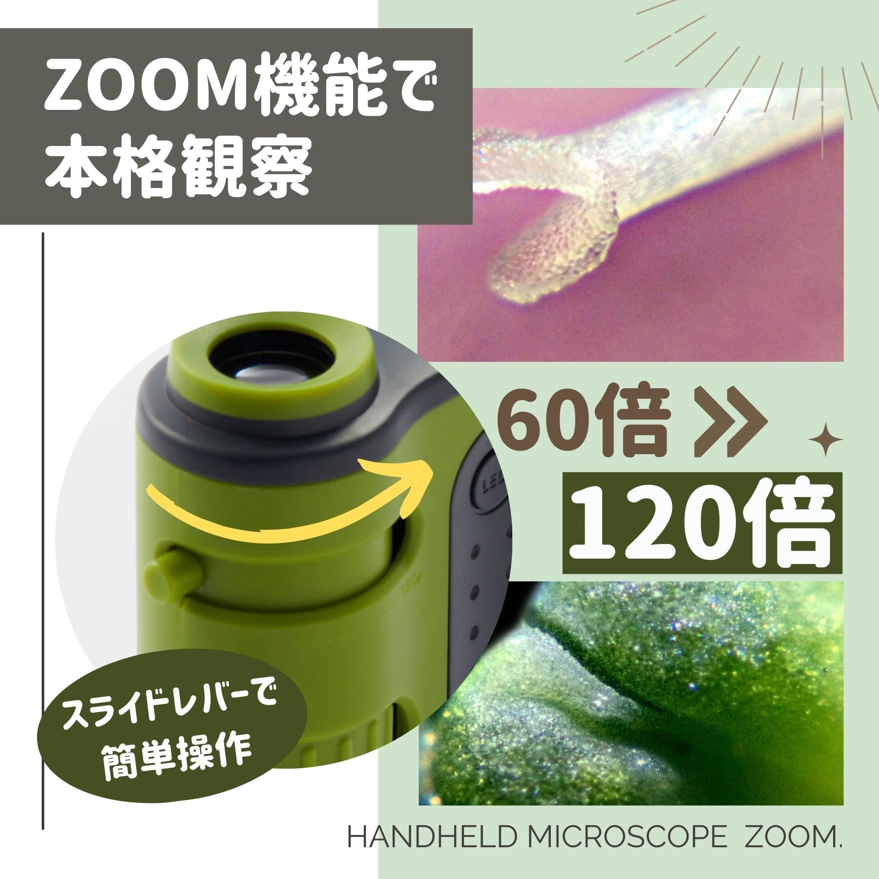Reimei Fujii Microscope Handy Microscope ZOOM Black RXT1143B