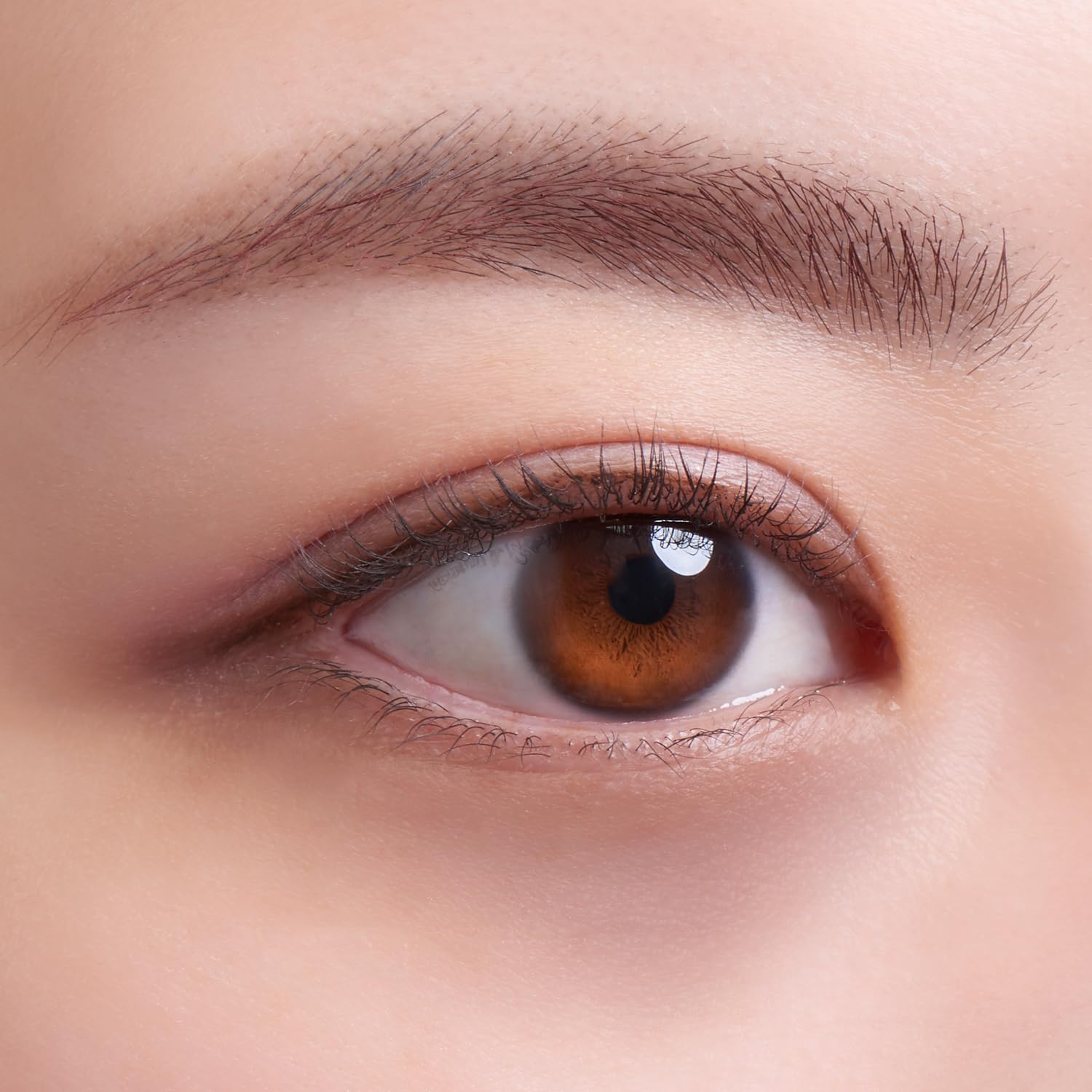 Skin Hero Bear Sealer Cream 14g [Instantly remove dull and tired eyes!] Dark circle erasing concealer + eye cream