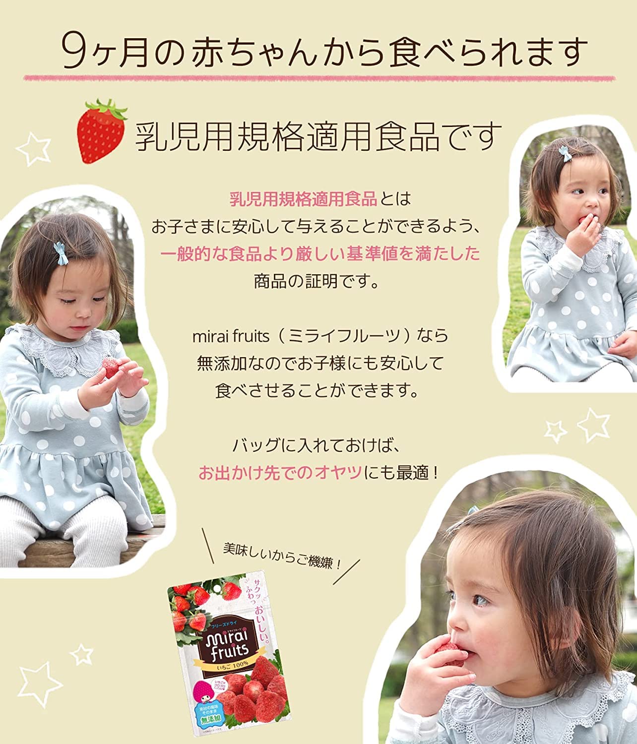 Mirai Fruit Strawberry 8g