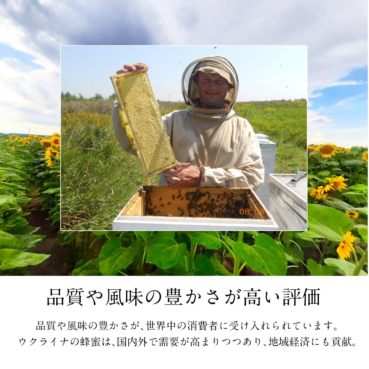 BeeWorks Ukrainian pure honey 1000g (500gx2) 1kg honey honey