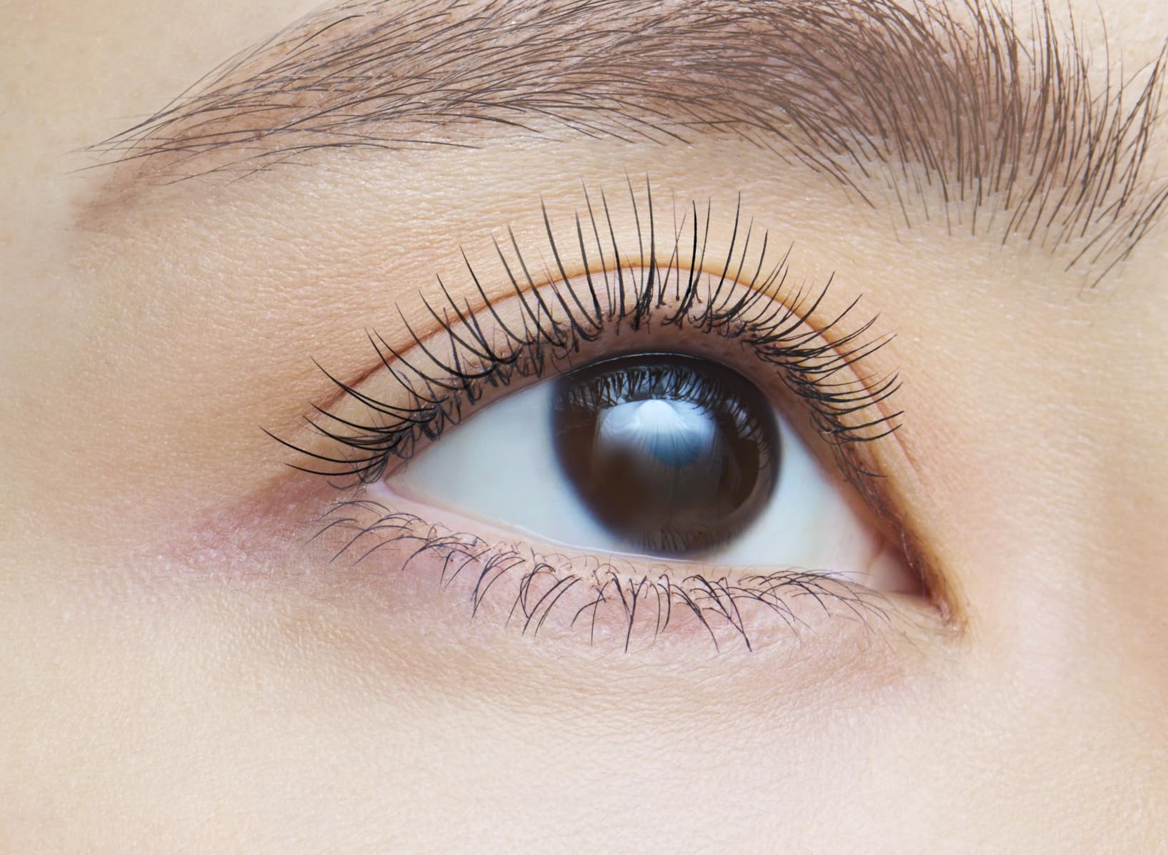 Dejavu Dejavu Paintable Lông Mi Giả Loại Dài Sợi Tóc Giả Siêu Dài 1 Mascara Màu Đen Loại Phim