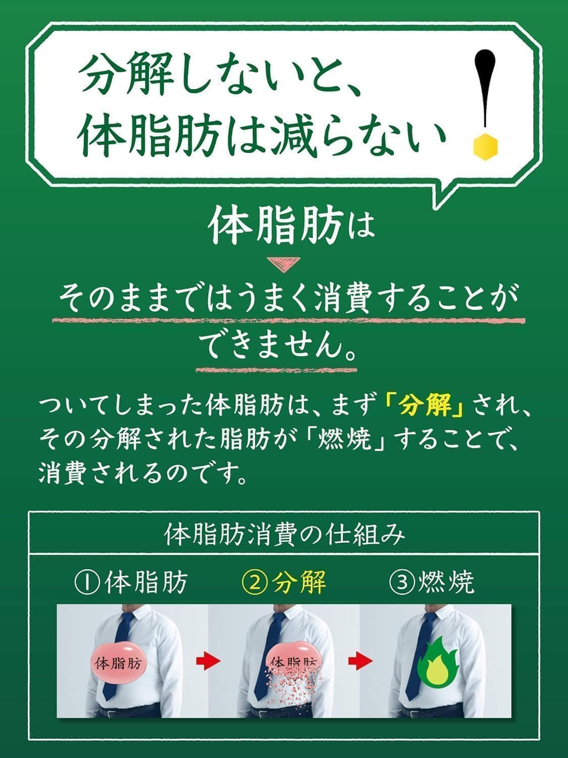 [TOKUHO] Suntory Iyemon Special Tea Labelless 500ml x 24 bottles now on sale