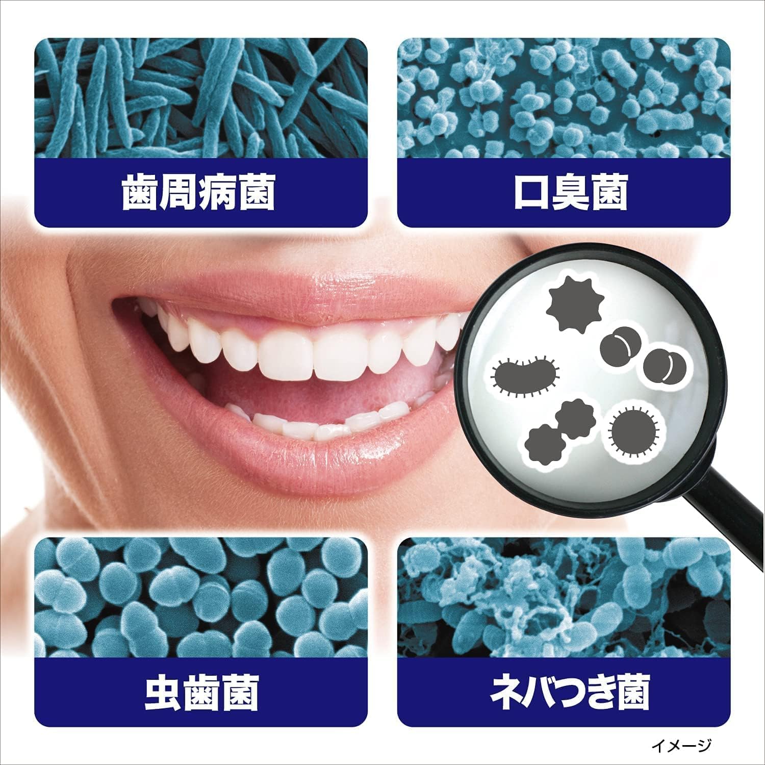 제로라 모닝워슈 살균 토탈 케어 치주병・충치・구취 예방 네바 첨부 정화 450 ml 고바야시 제약