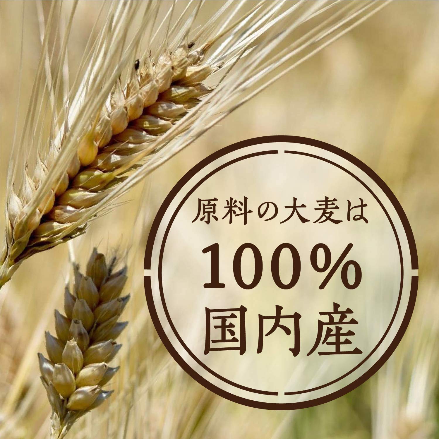 Trà lúa mạch hạt tròn Hakubaku 30 gói x 1