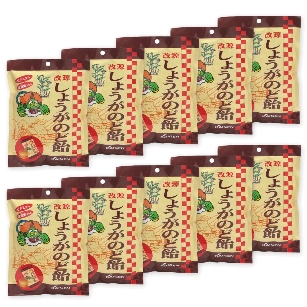 카이겐 개원 생강 목 飴 羅漢果入り 비타민 C (73g×10袋)