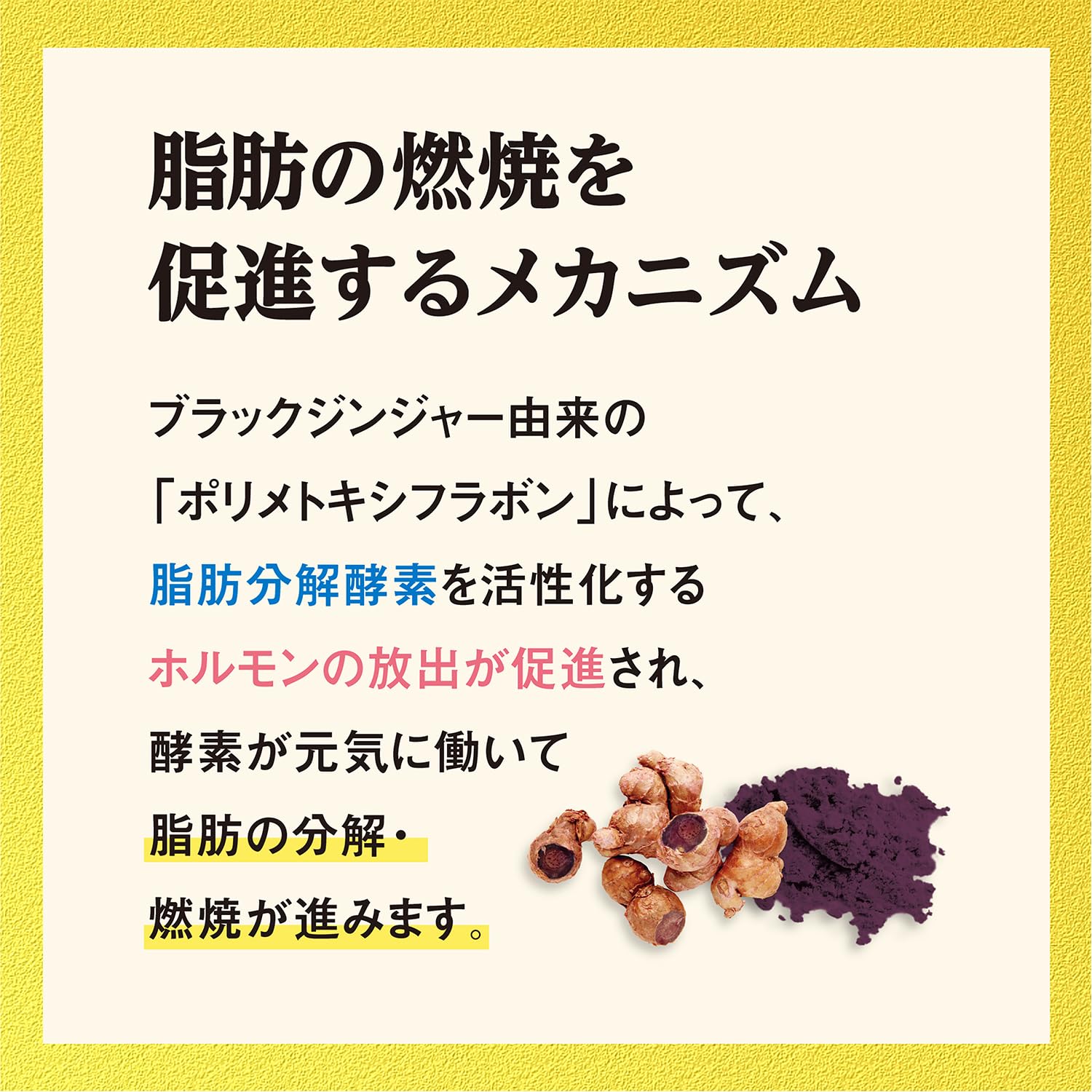 고바야시 제약의 영양 보조 식품 나이시 헬프【내장 지방 대책】【배의 지방 대책】블랙 생강 지방 연소 대책 서프리