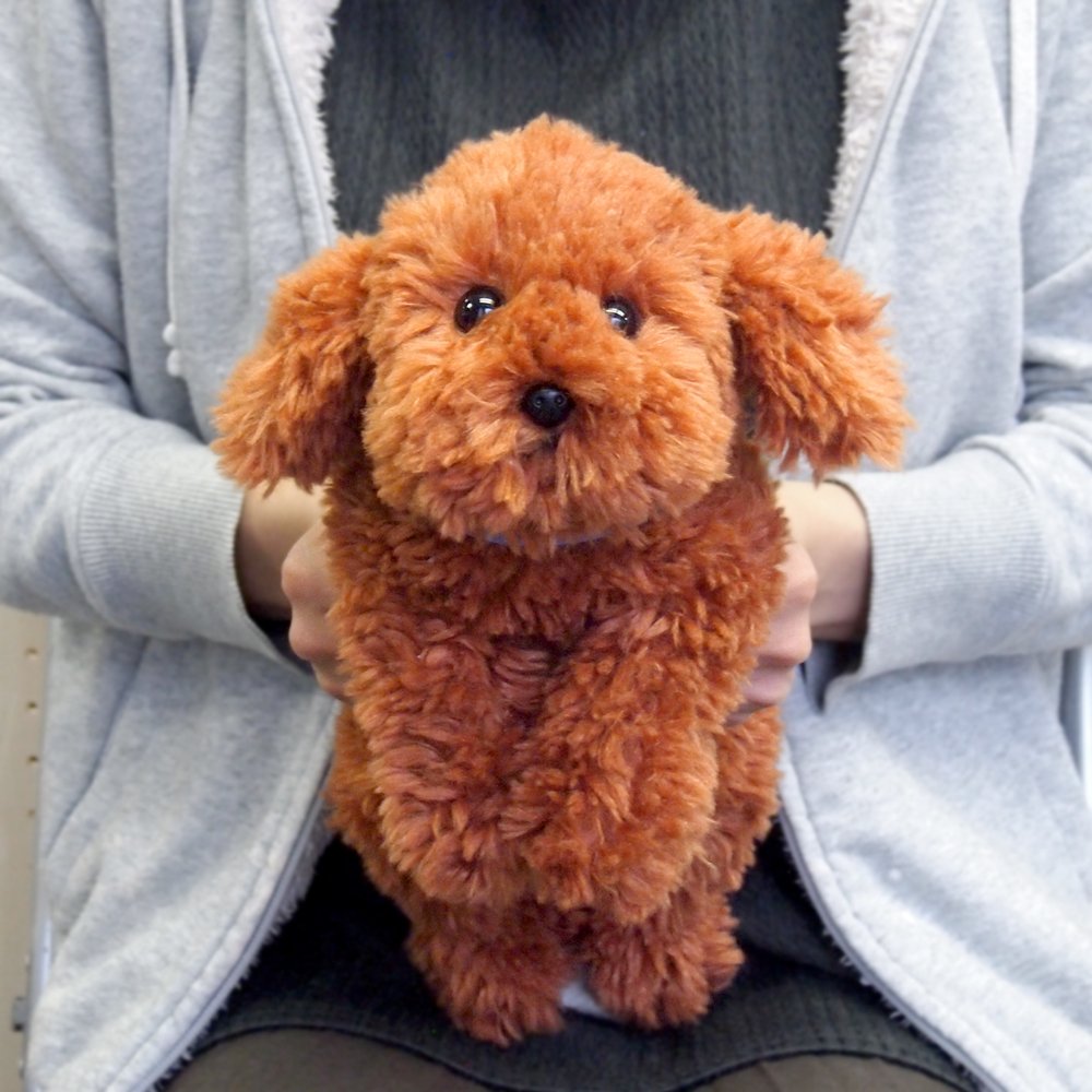 棕熊和贵宾犬布偶S P-3032