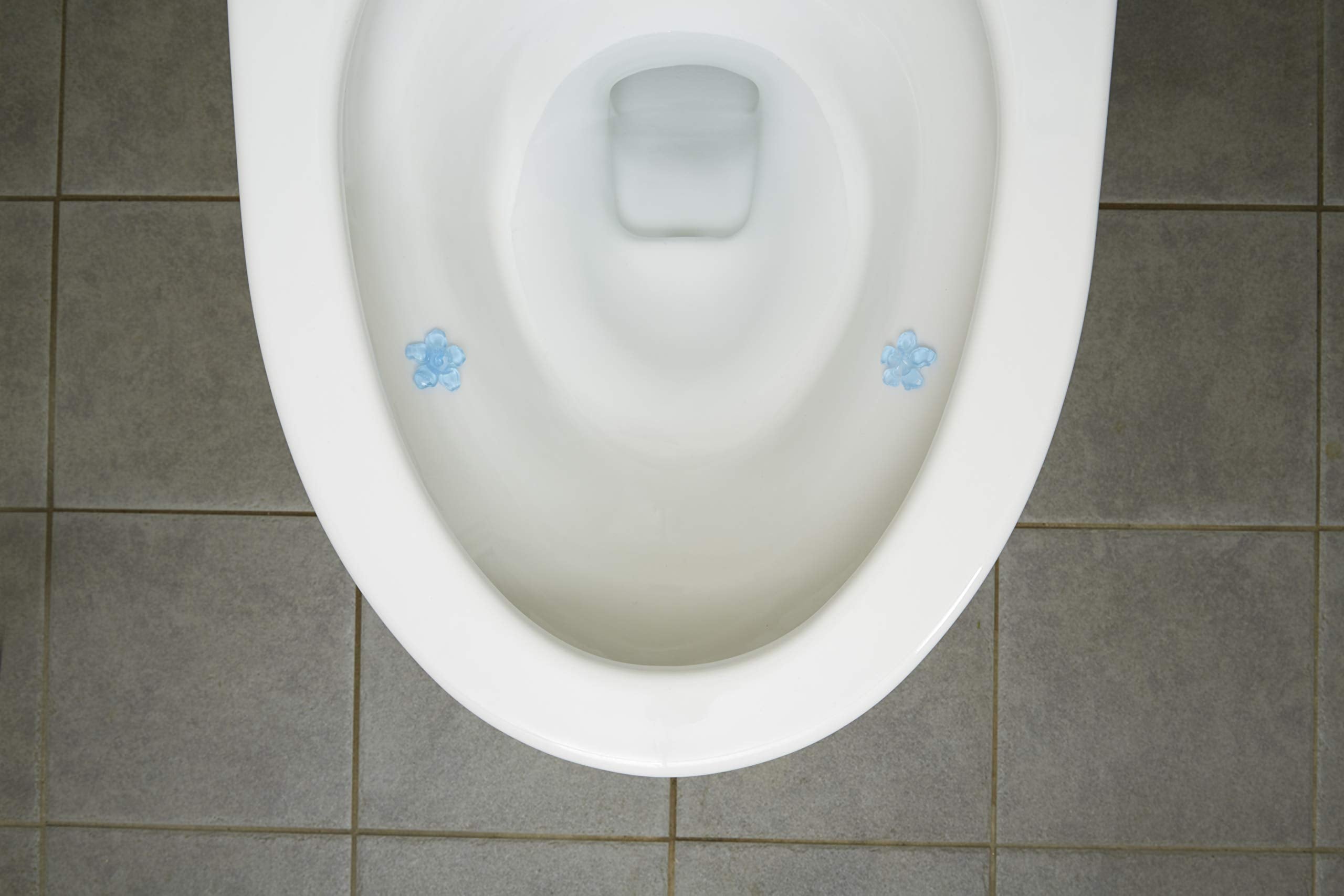 Kobayashi Pharmaceutical Bluelet Decoral Disinfecting Effect Plus Petal Gel Fresh Floral for toilet bowl flush scent and stain prevention approx. 21 days supply