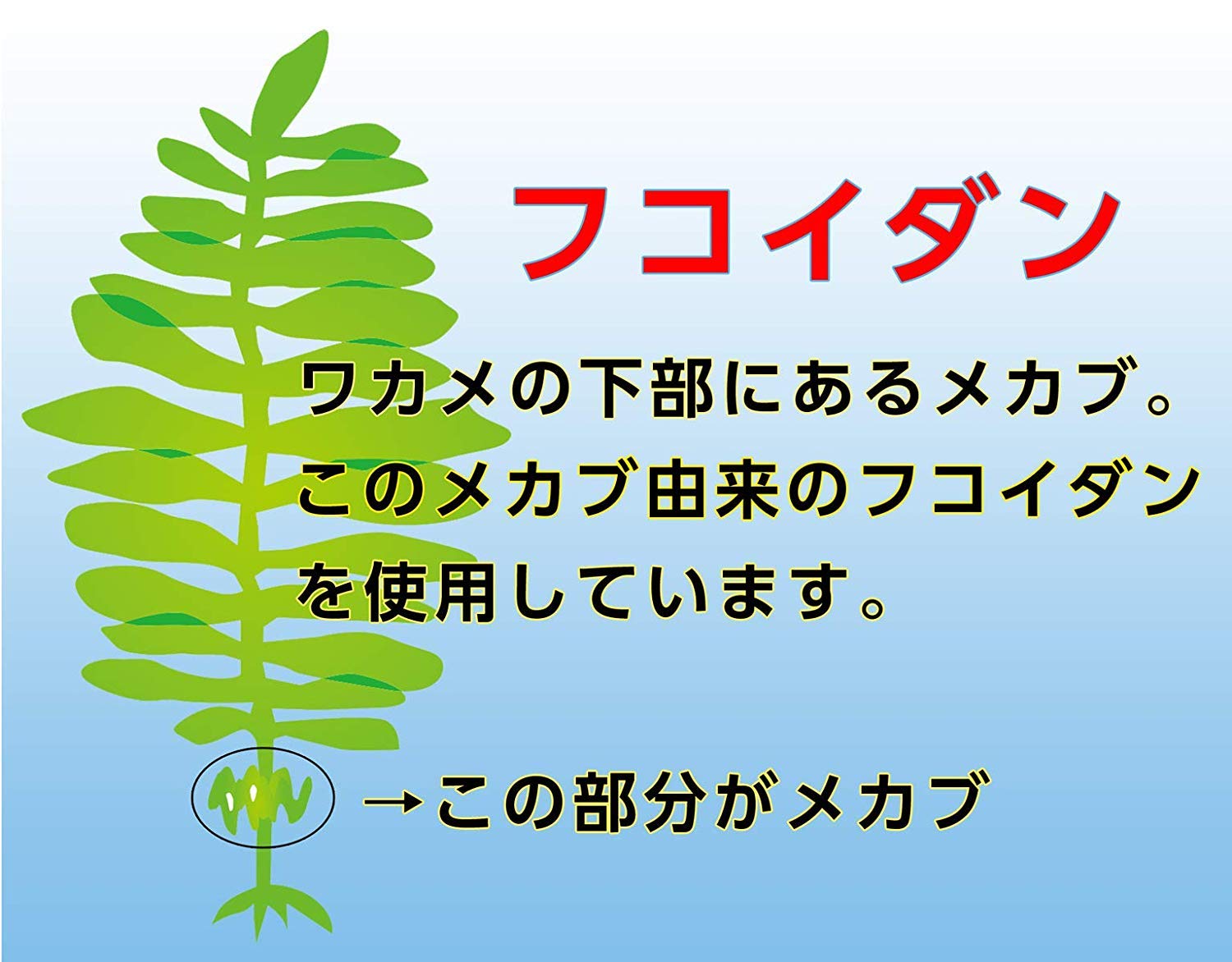 Fine (FINE JAPAN) Fine Fucoidan 33 days supply 198 tablets Supplement Contains Mekabu extract and Agaricus extract powder Domestic production