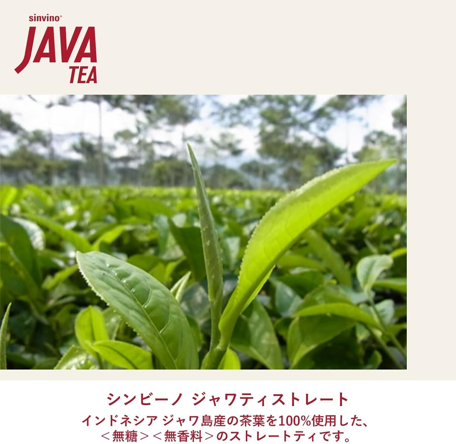 JAVA TEA Otsuka Foods Simbino Straight Red Unsweetened Tea 270ml x 24 bottles