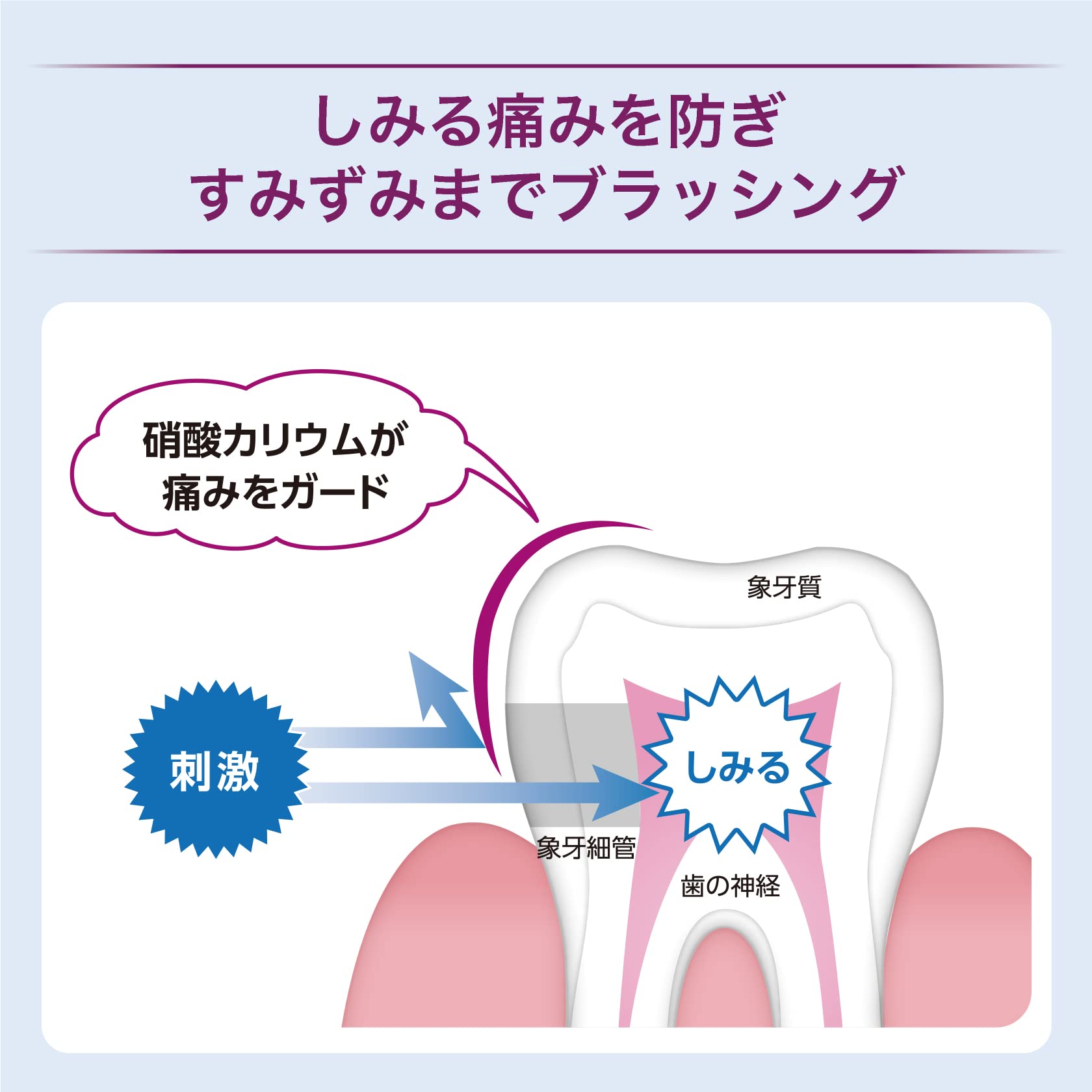 佐藤製薬 重曹 ハミガキ粉90g