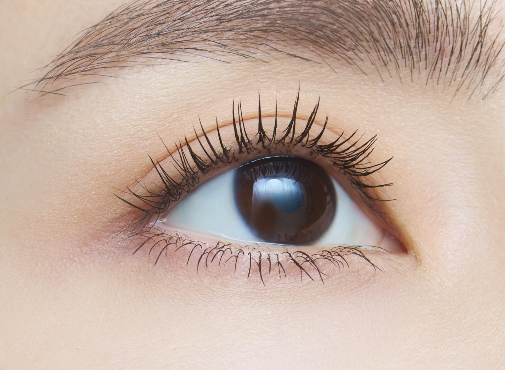 dejavu Dejavu Paintable False Eyelashes Volume Type Lash Knockout Extra Volume 1 Black Mascara Film Type
